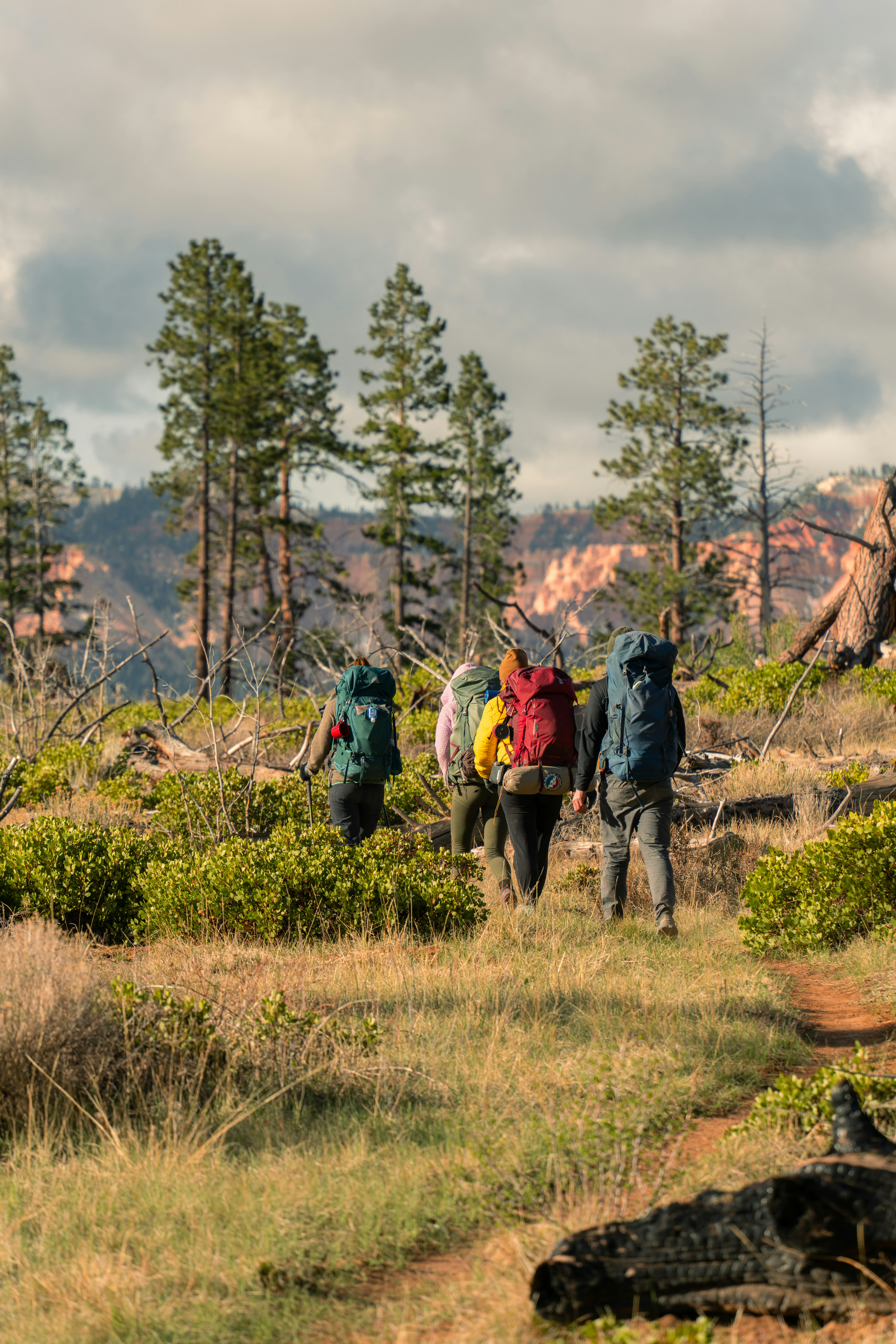 Photo by alexmoliski