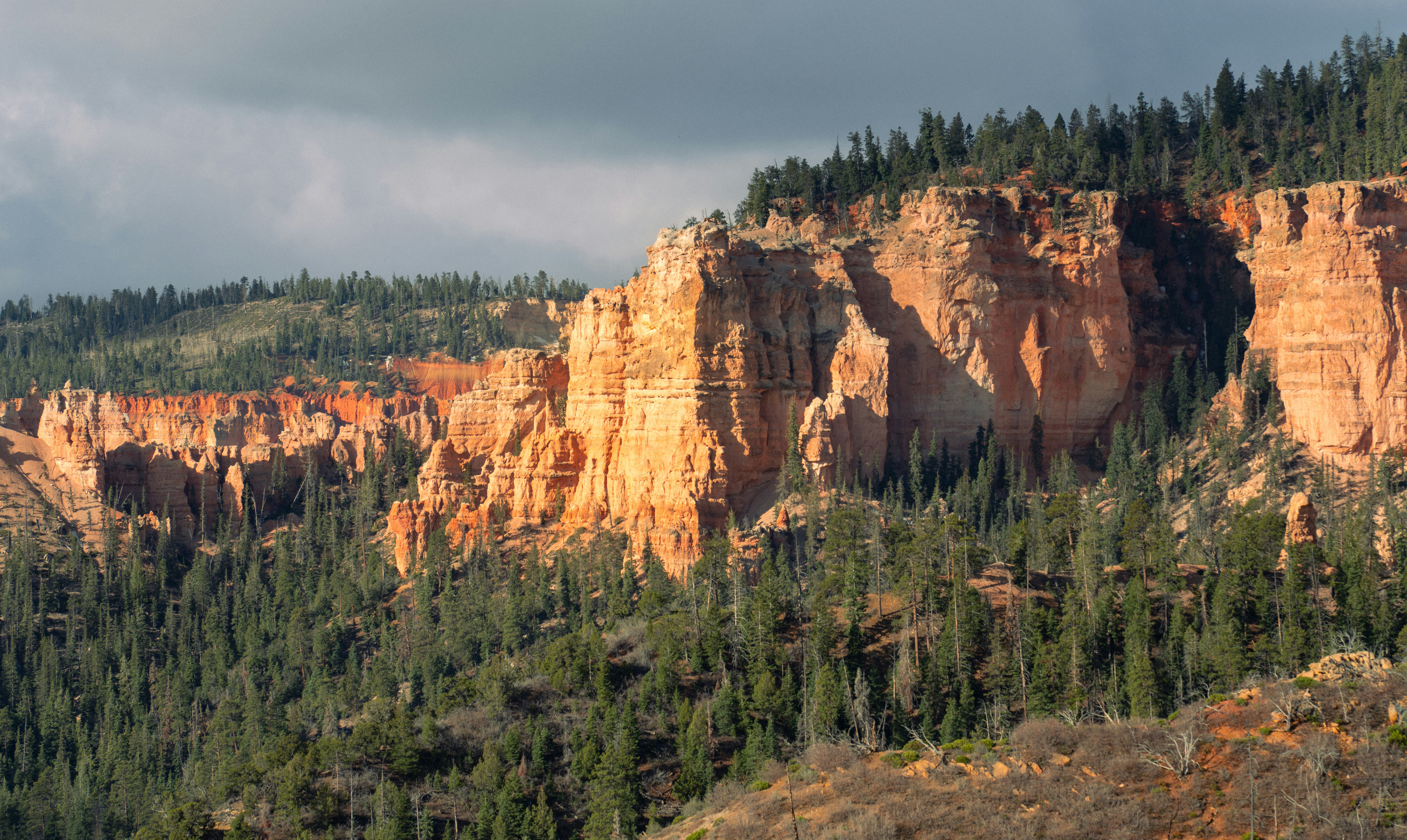 Photo by alexmoliski