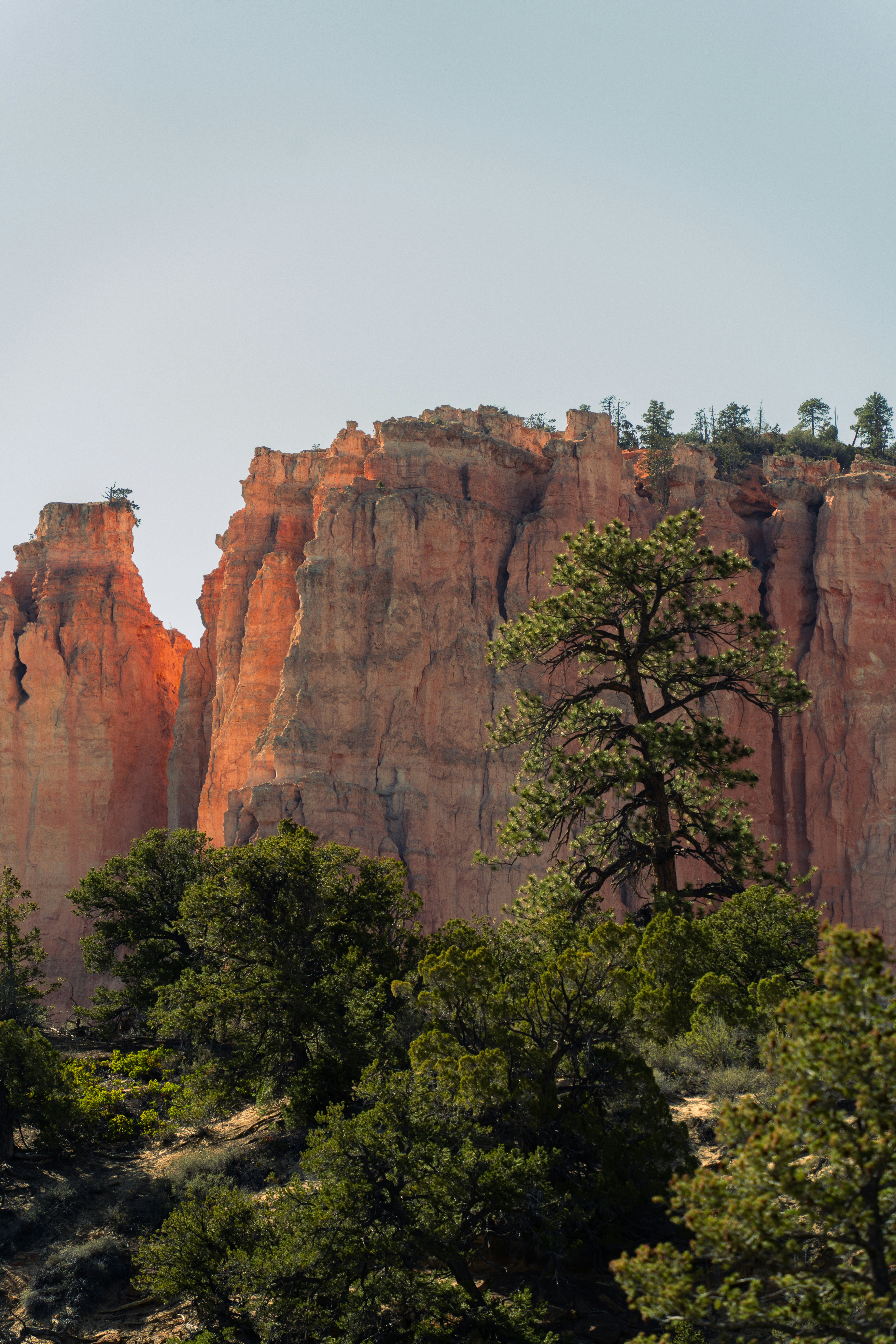 Photo by alexmoliski