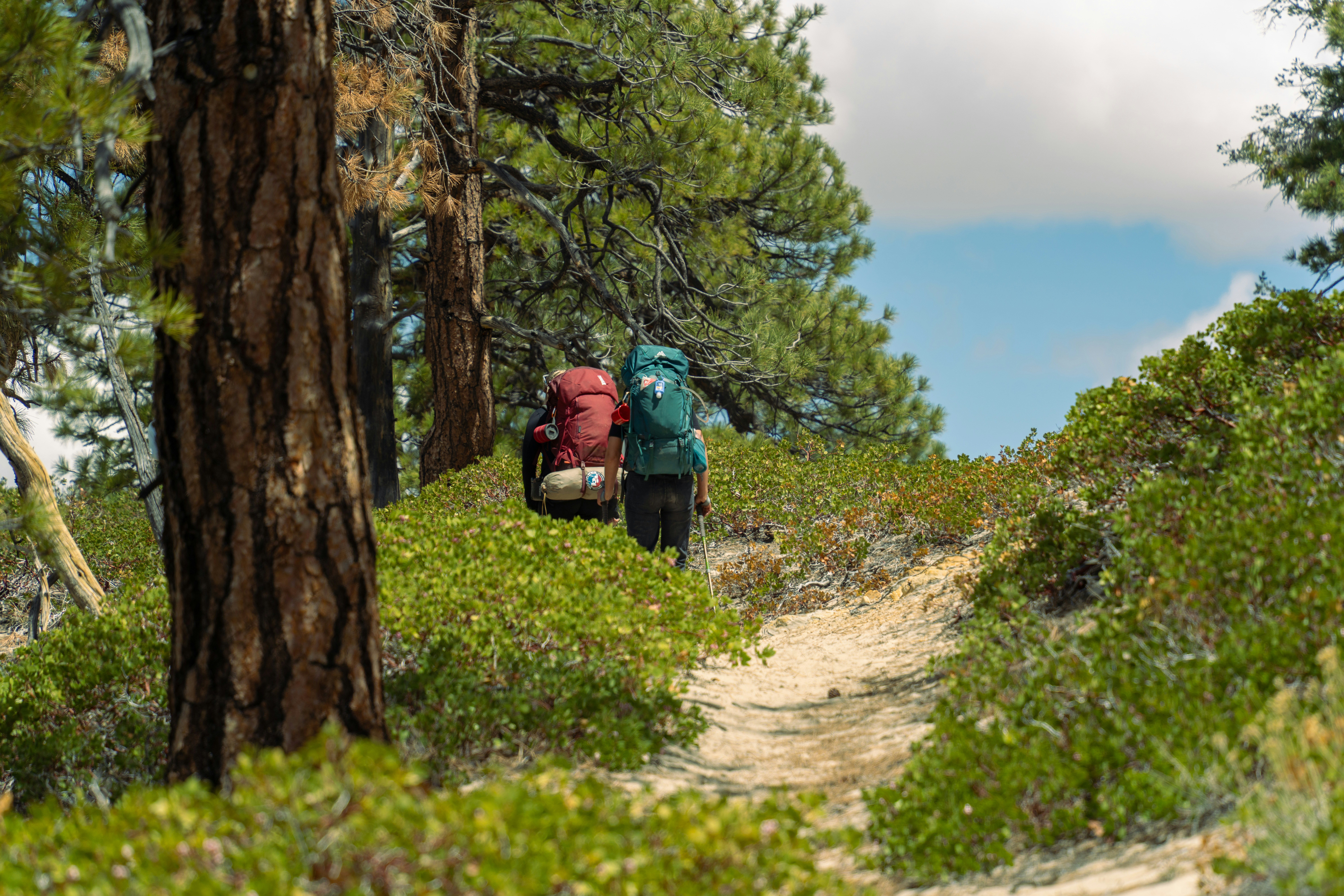 Photo by alexmoliski