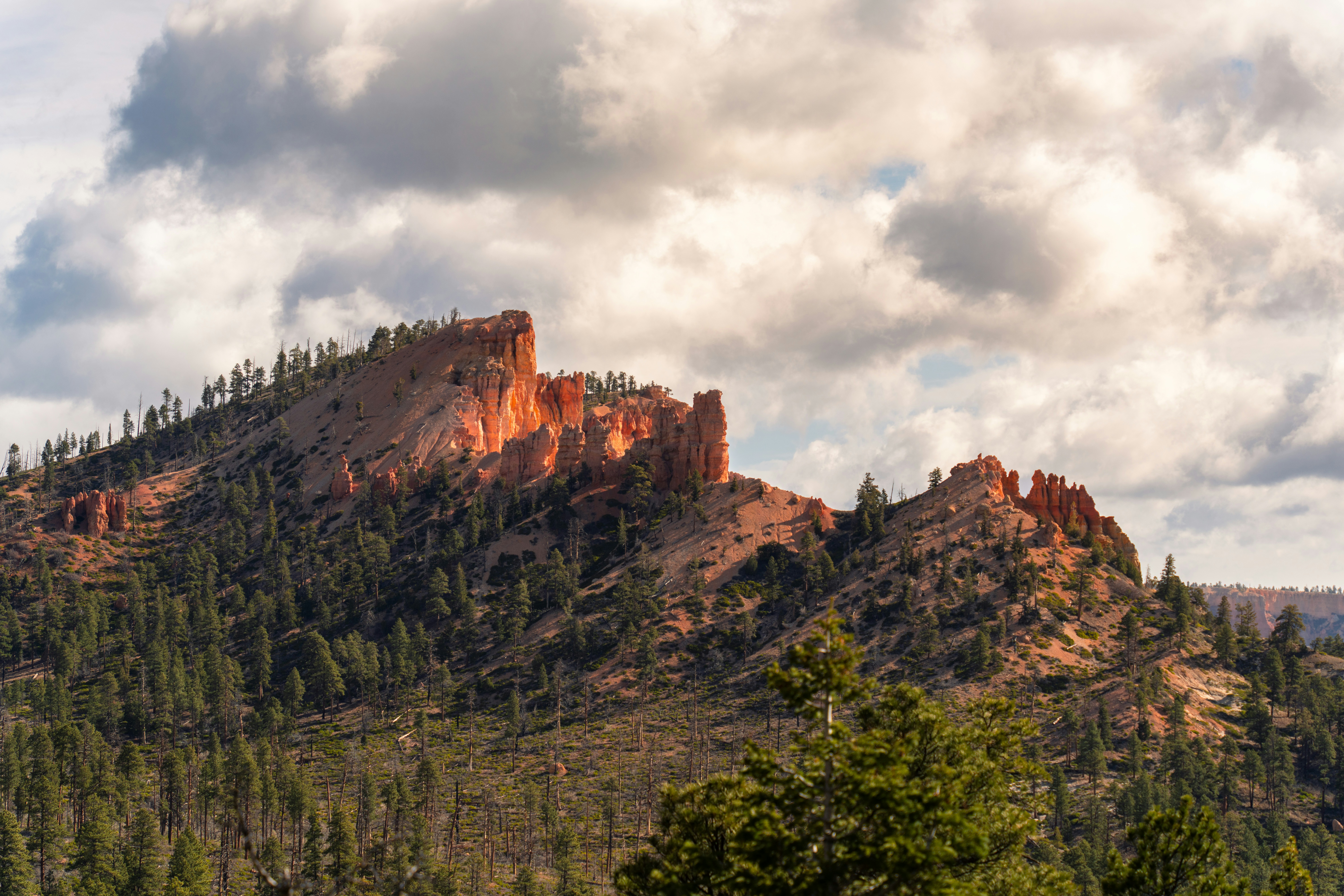 Photo by alexmoliski