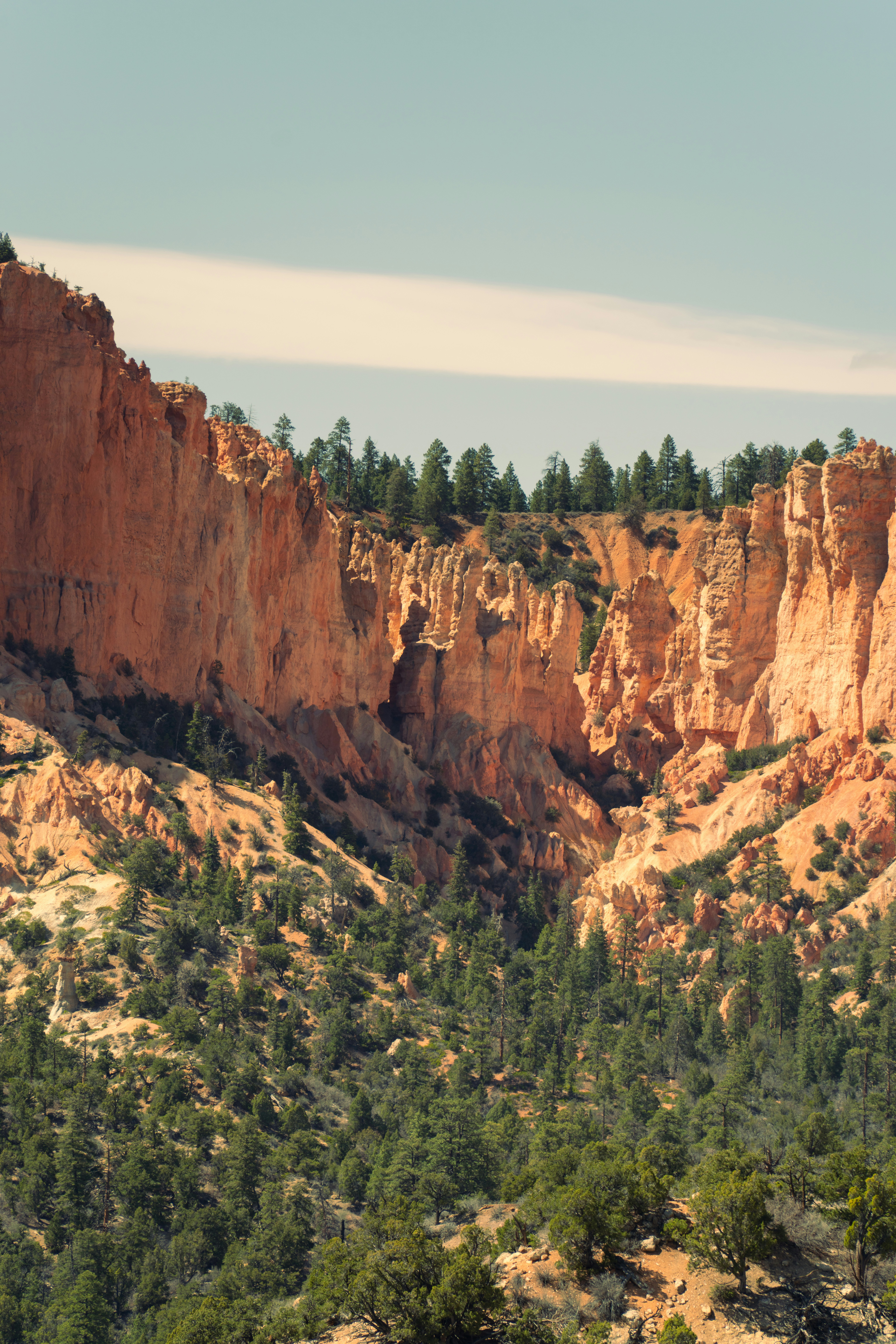 Photo by alexmoliski