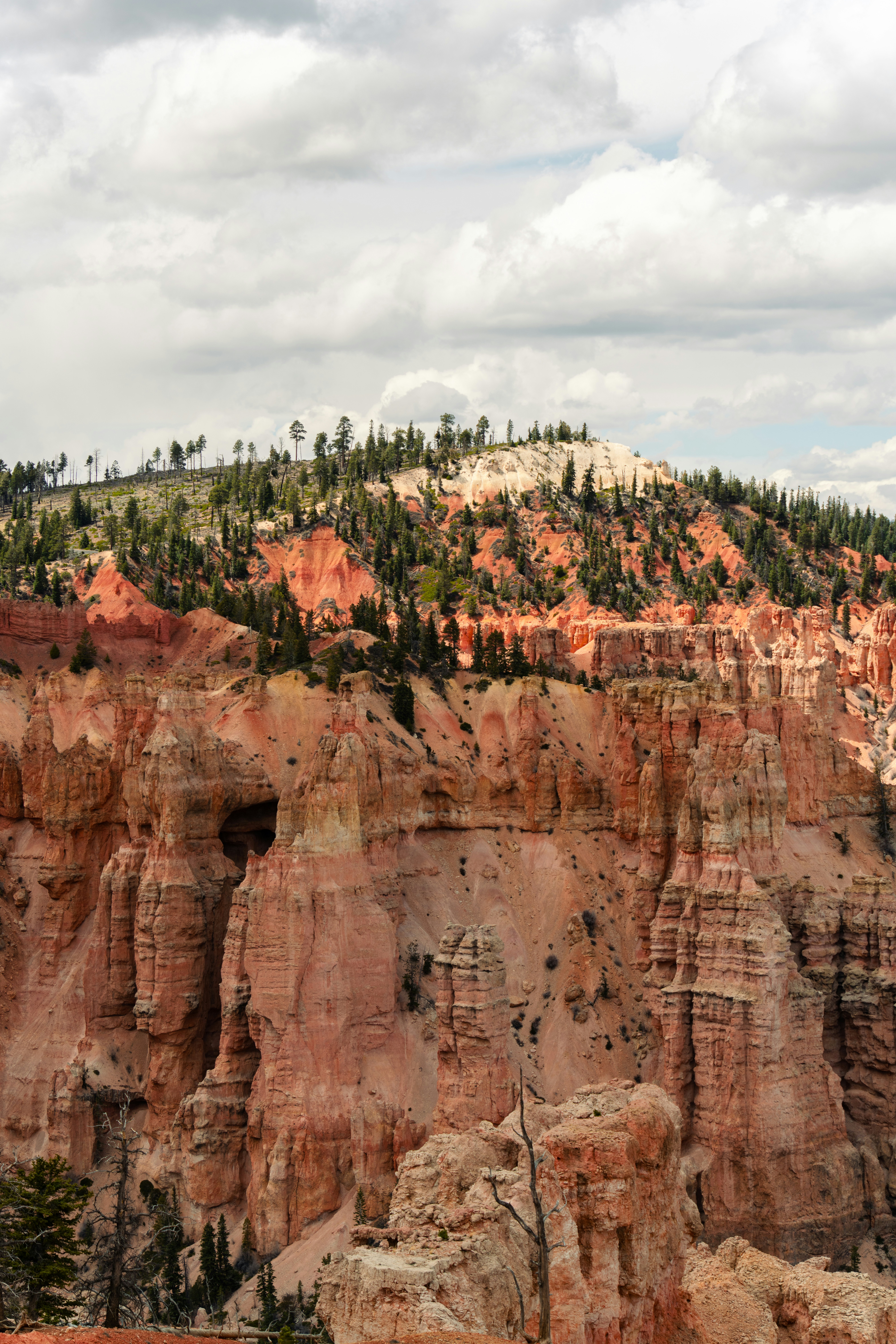 Photo by alexmoliski