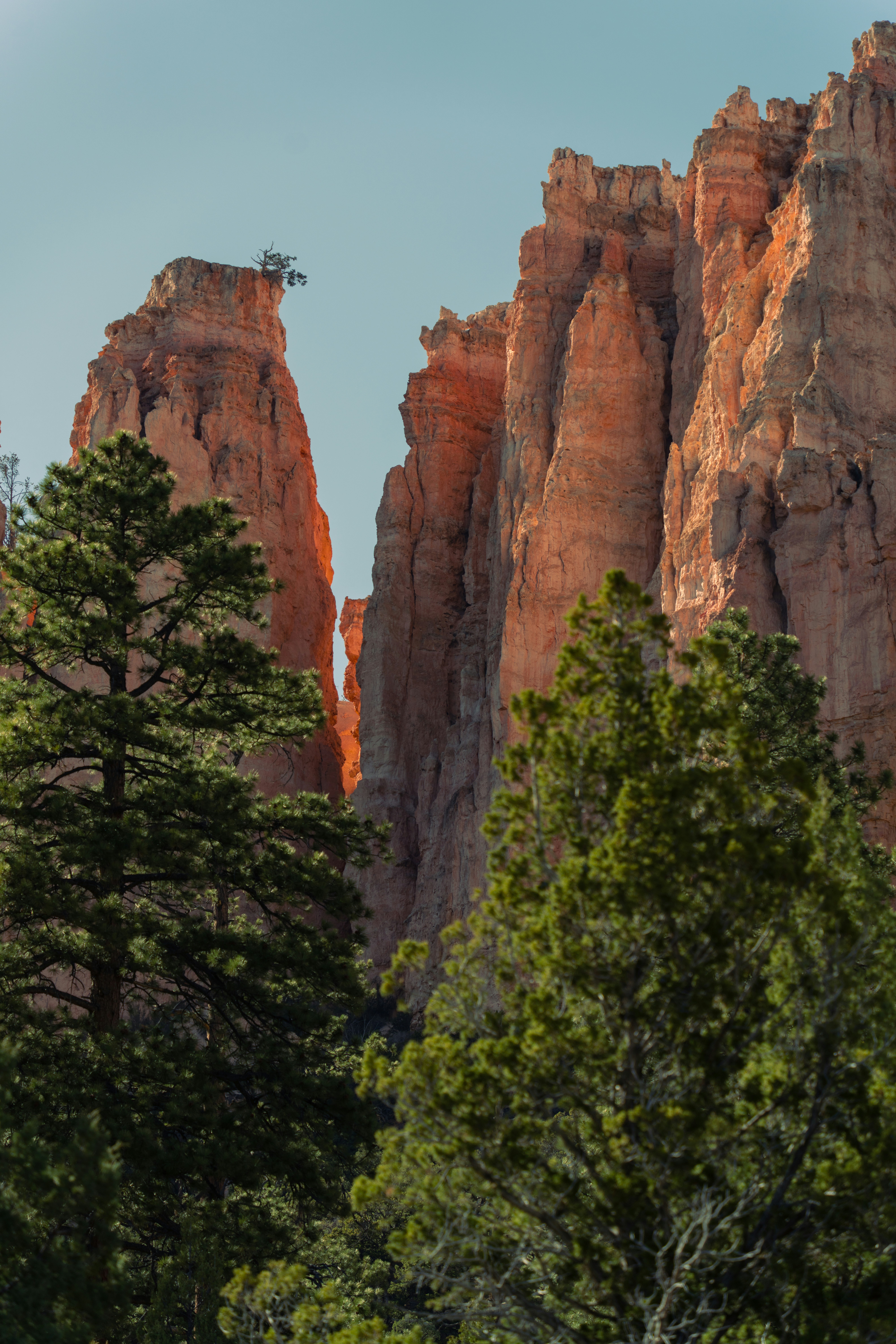 Photo by alexmoliski