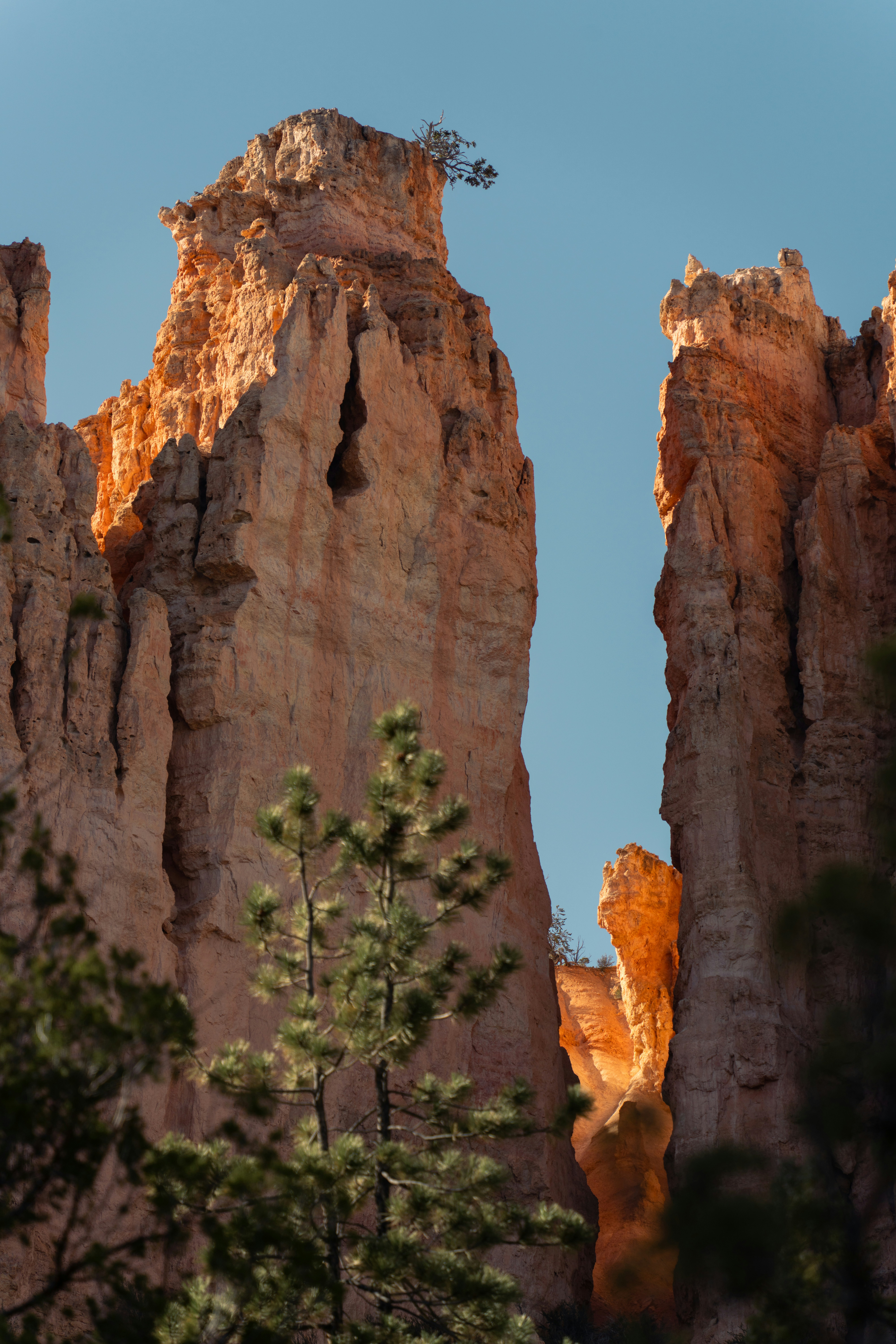 Photo by alexmoliski