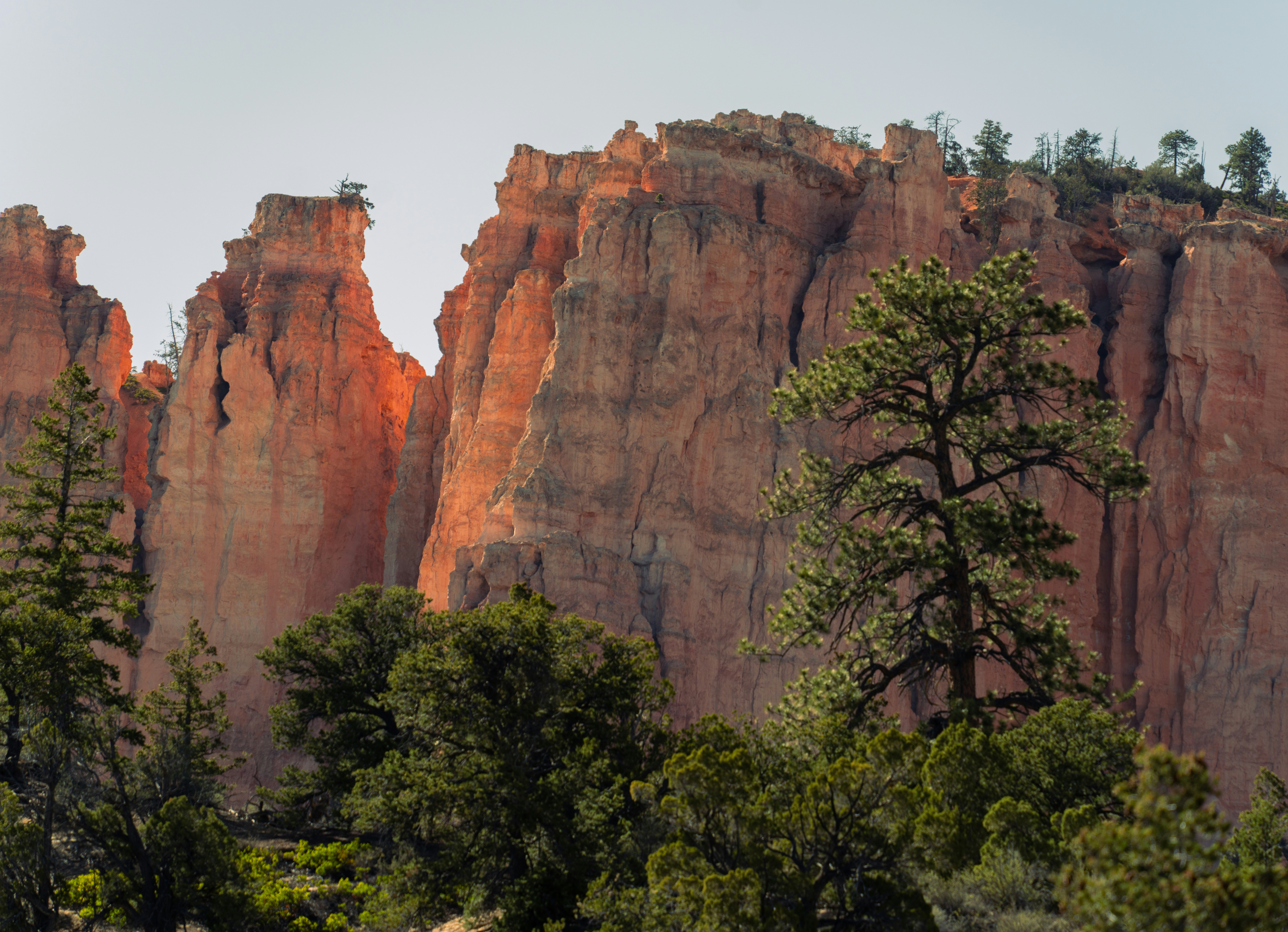 Photo by alexmoliski