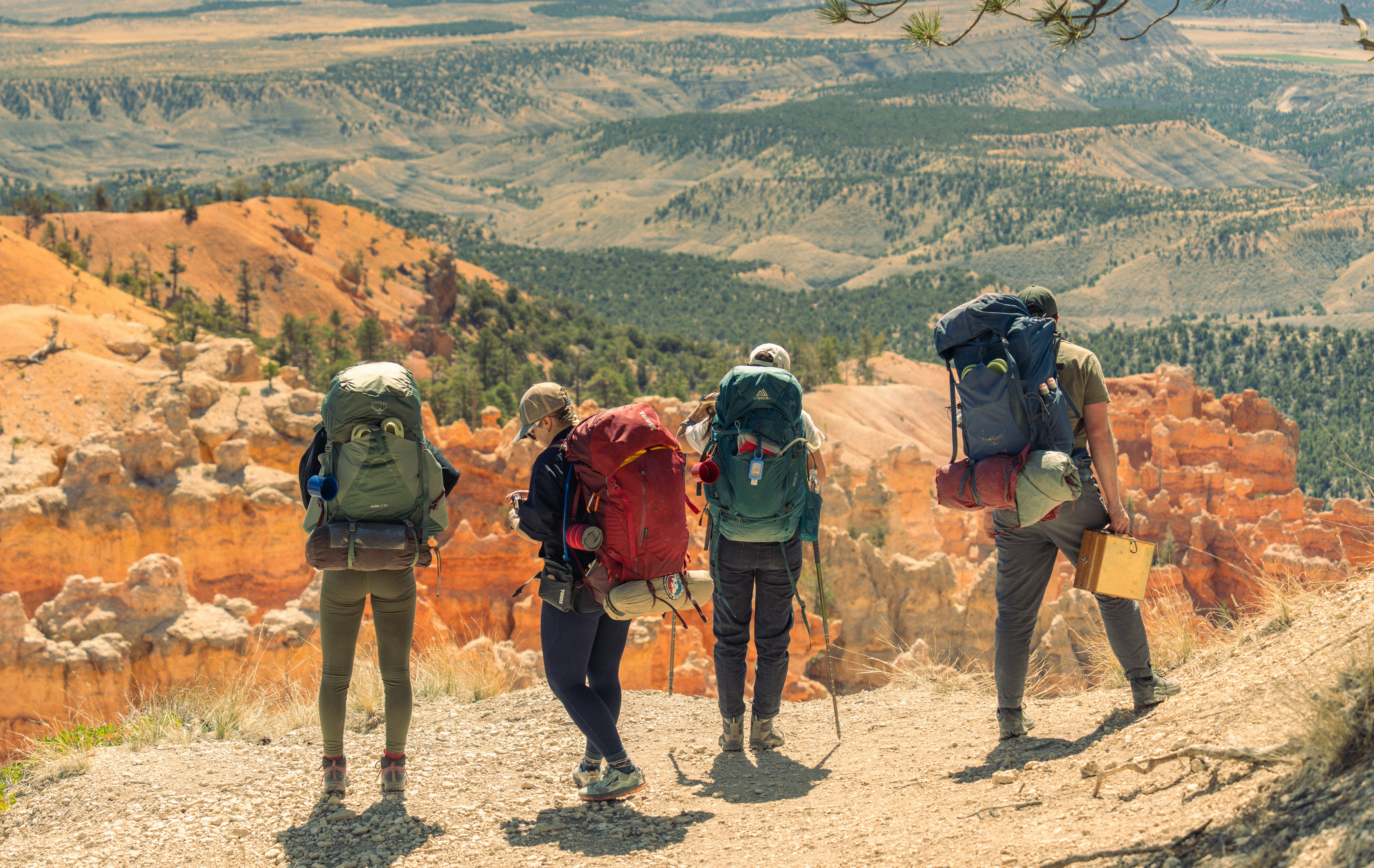 Photo by alexmoliski