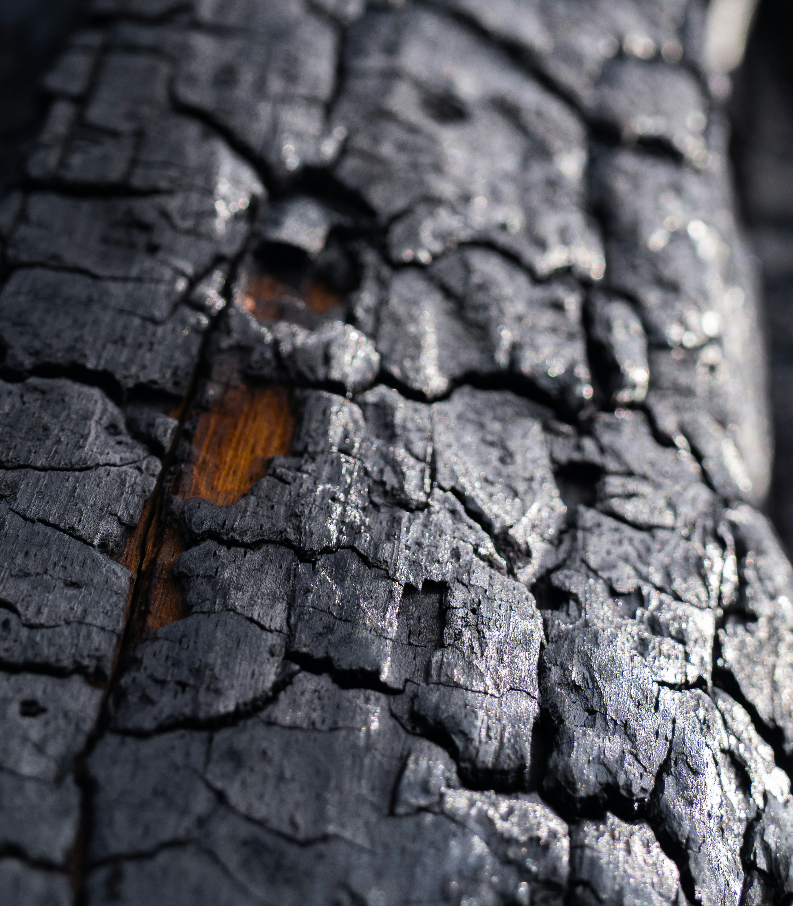 Photo by alexmoliski