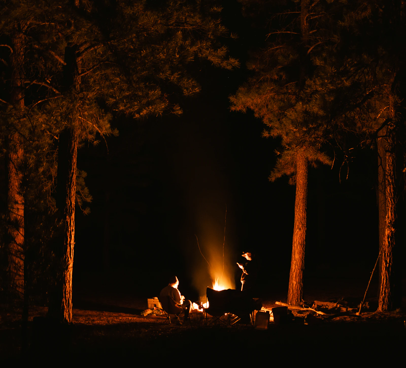 Placeholder for The Drasco Campsite: Campfire glowing between trees