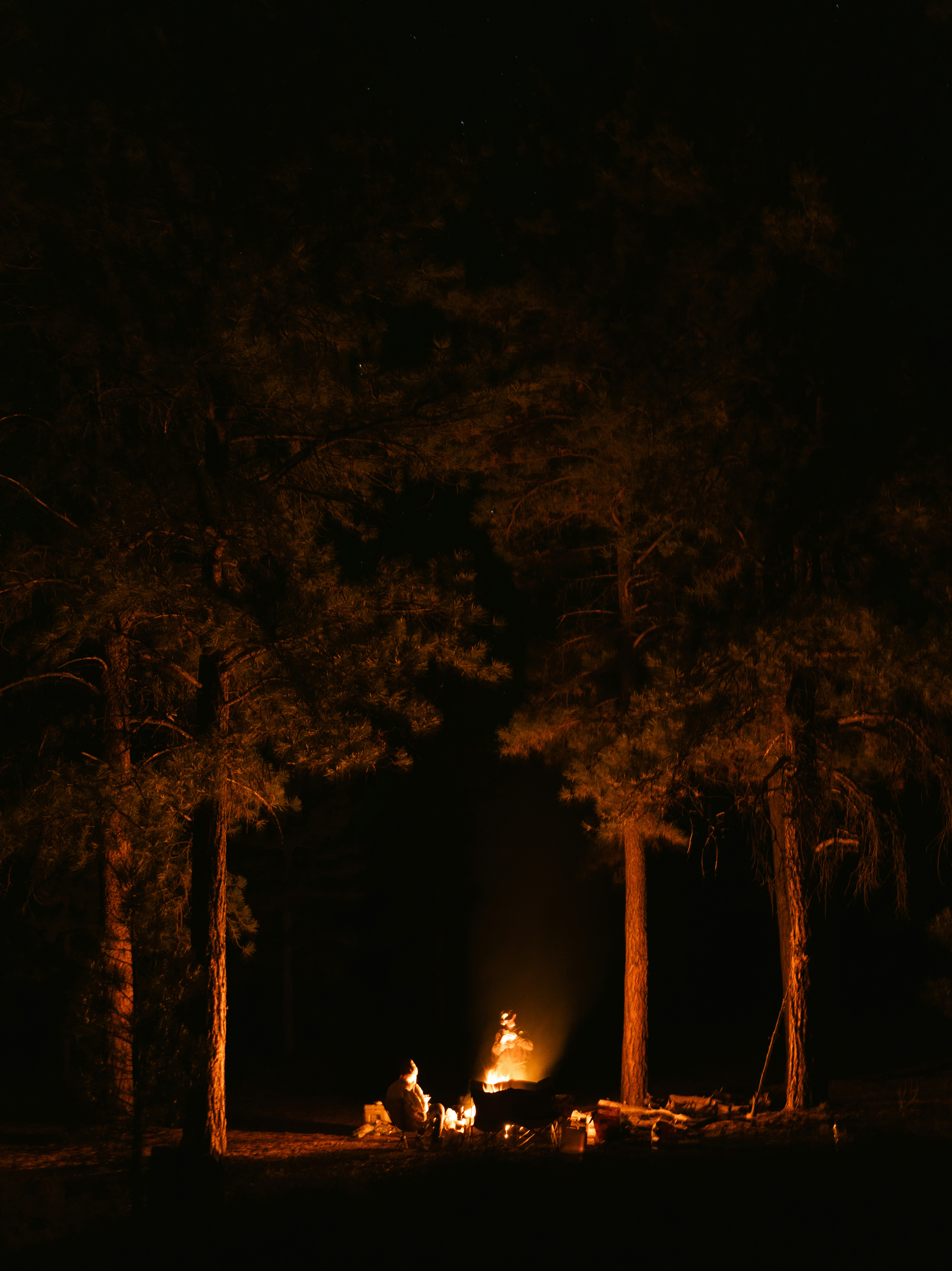 Photo by alexmoliski