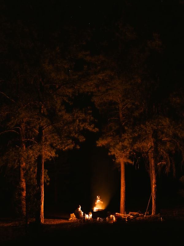 Un feu de camp la nuit en forêt