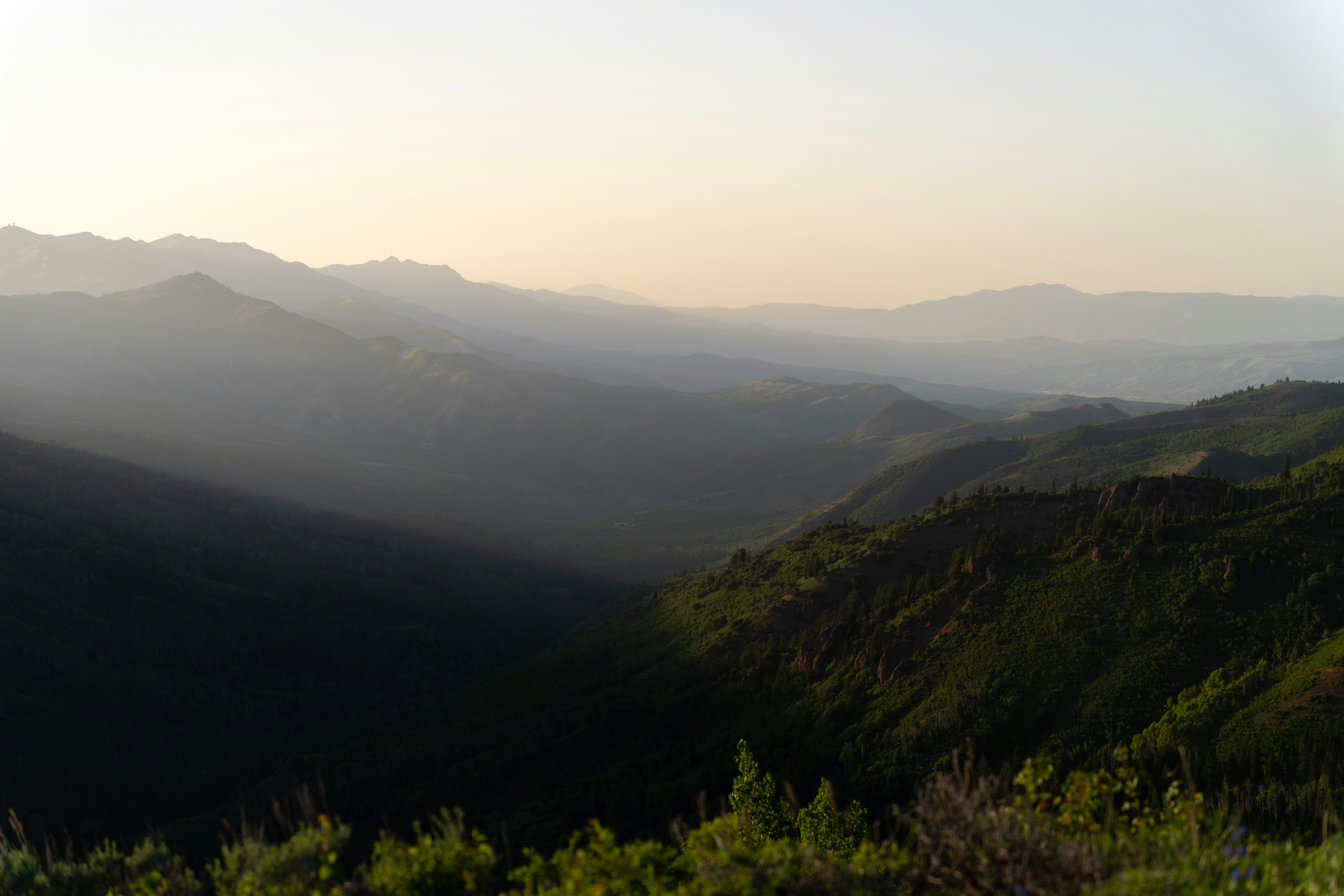 Photo by alexmoliski