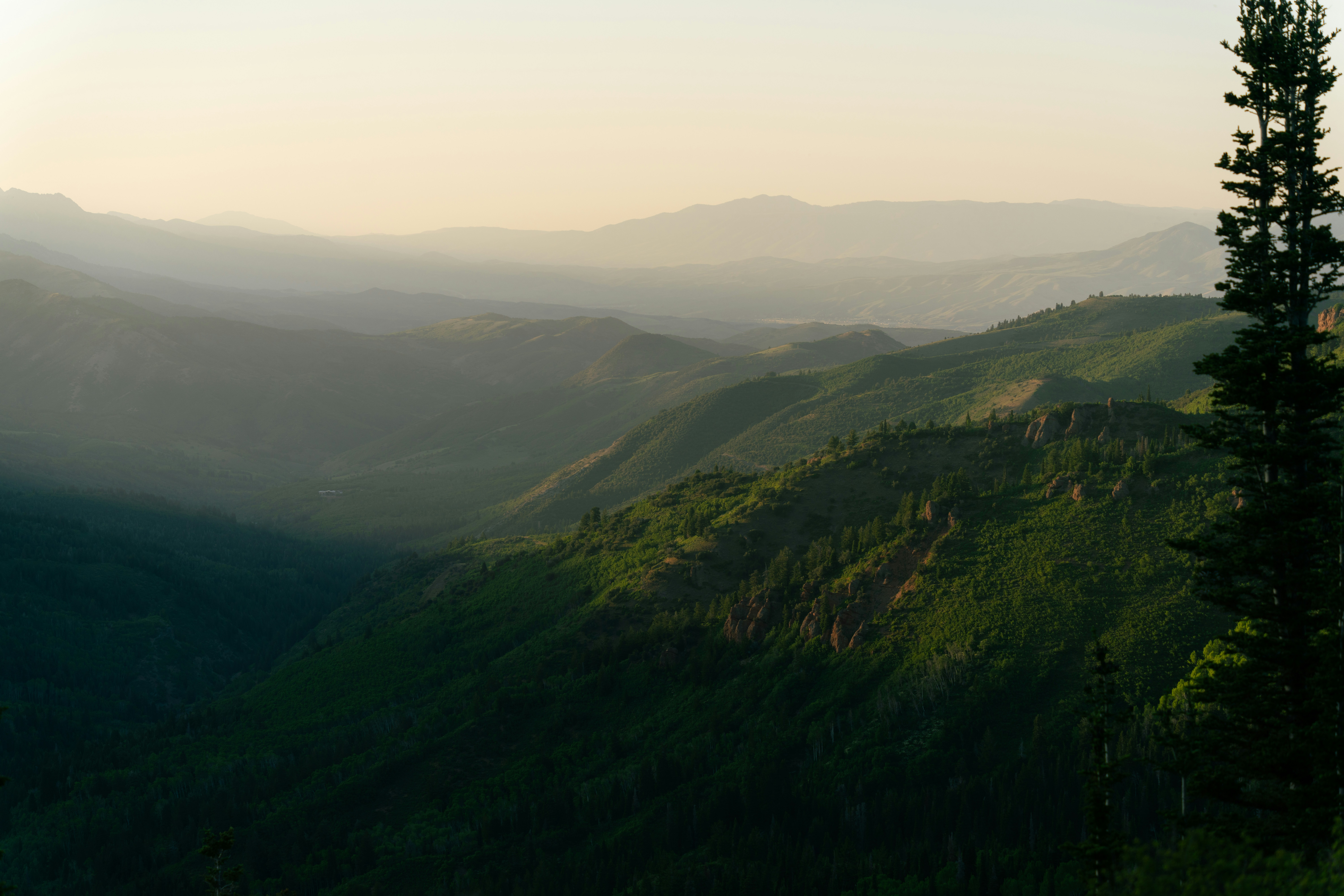 Photo by alexmoliski