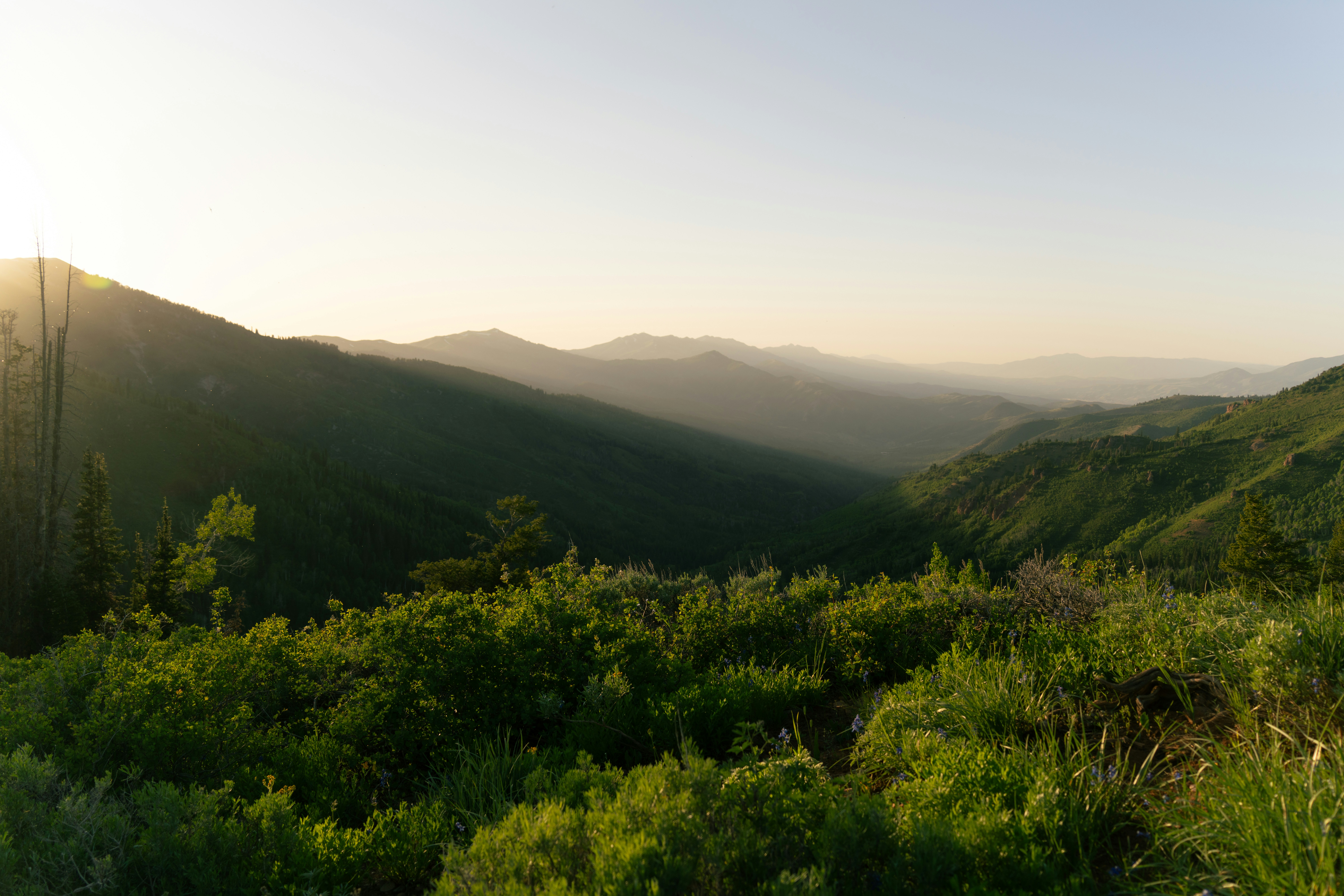 Photo by alexmoliski