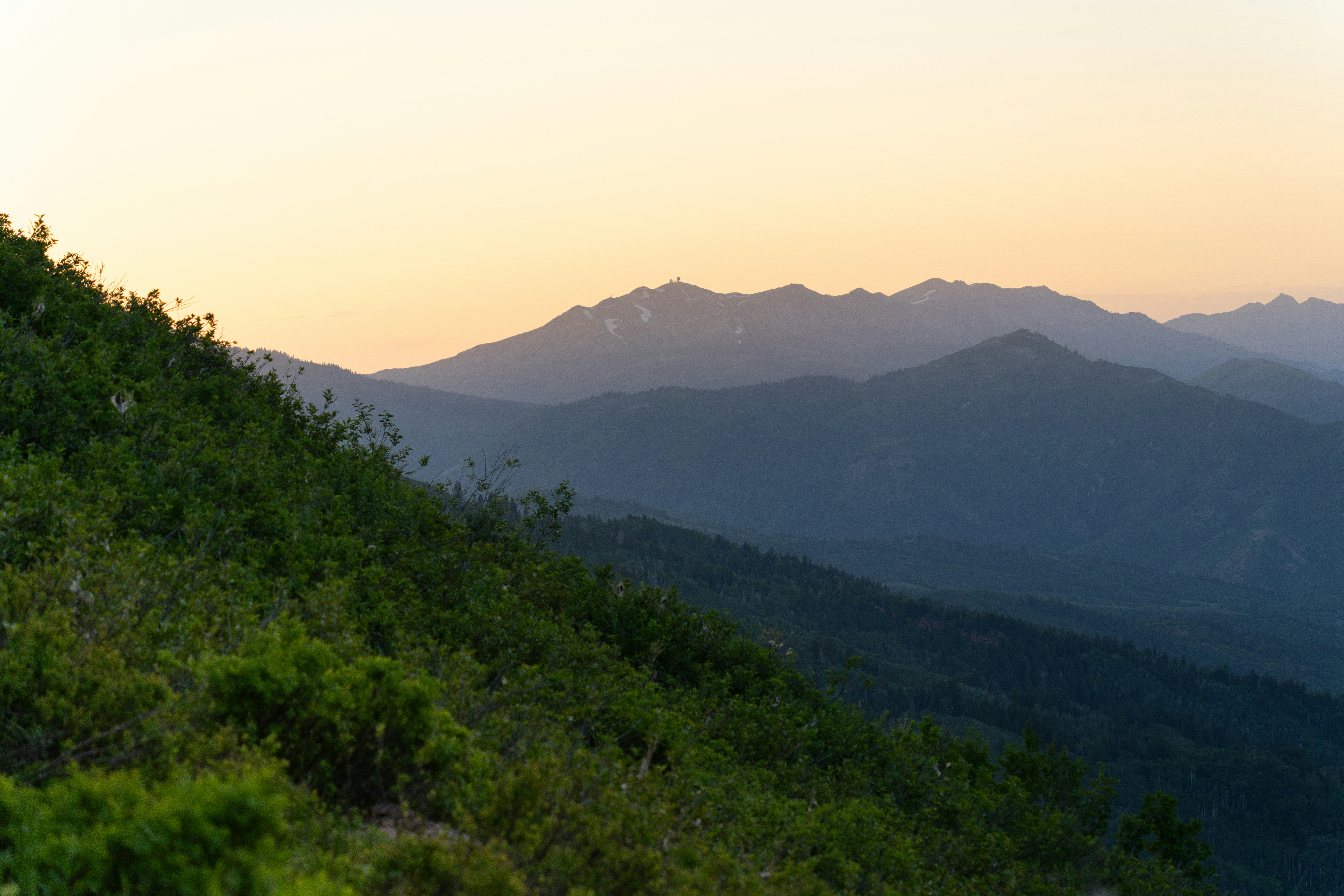 Photo by alexmoliski