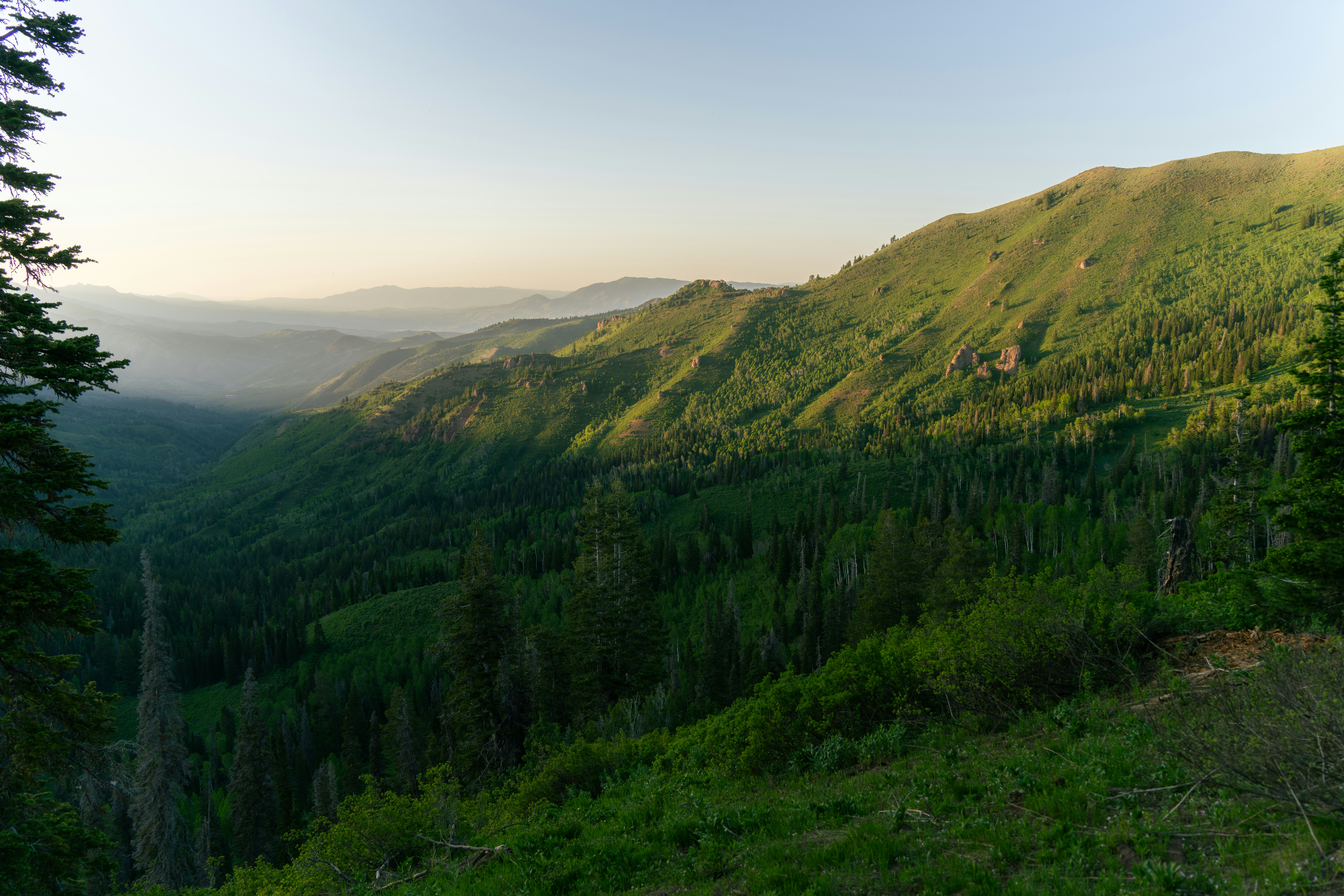 Photo by alexmoliski