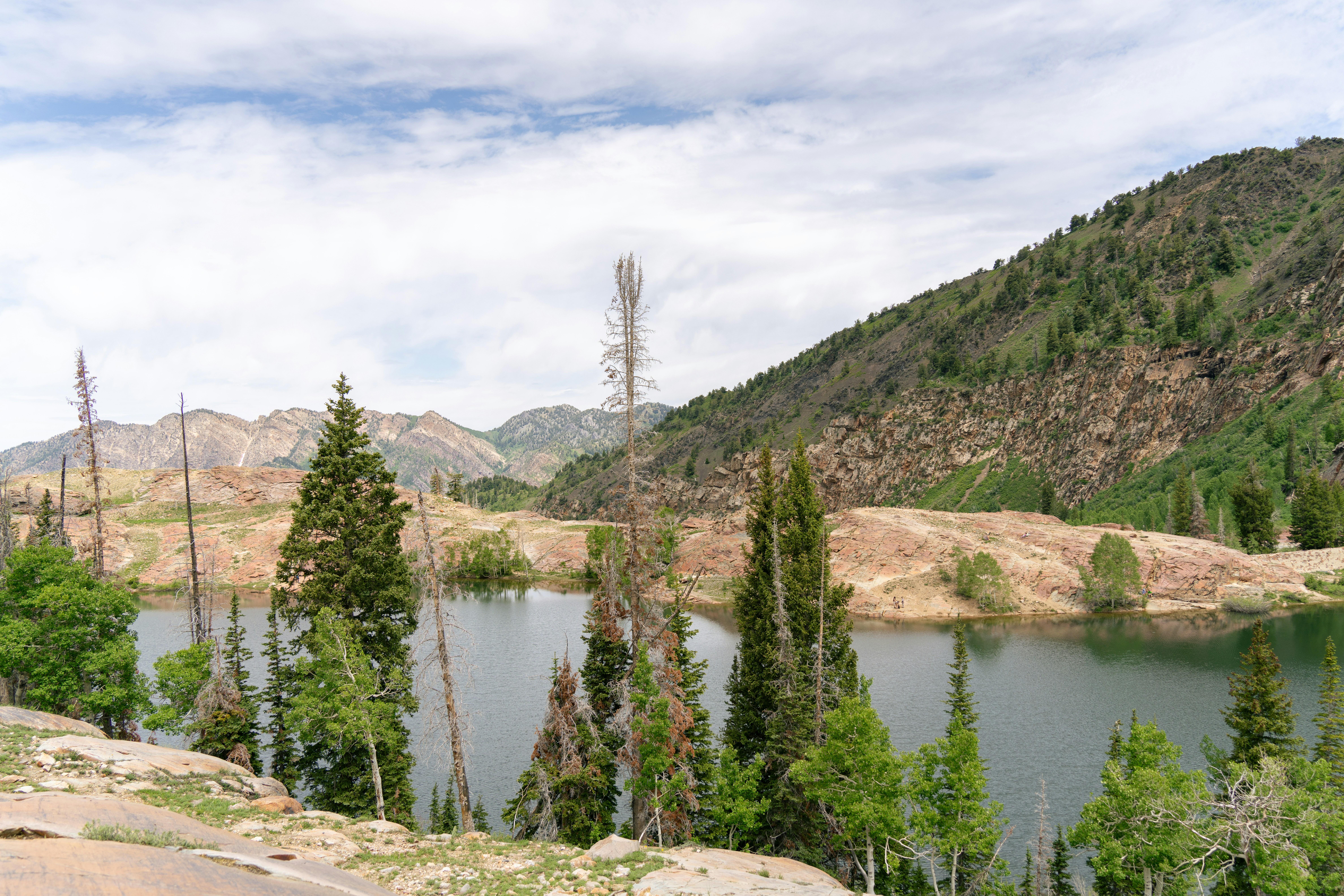 Photo by alexmoliski