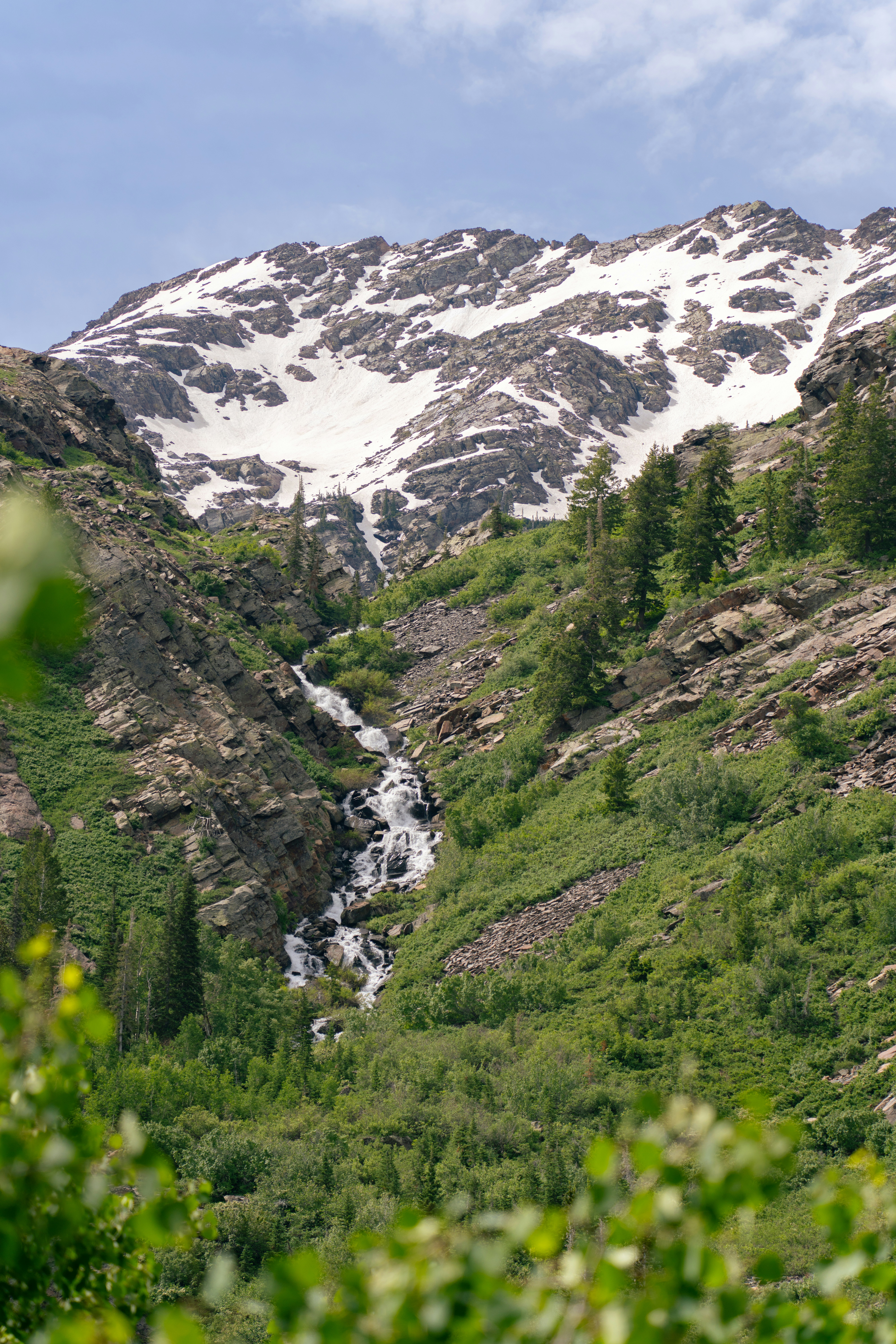 Photo by alexmoliski