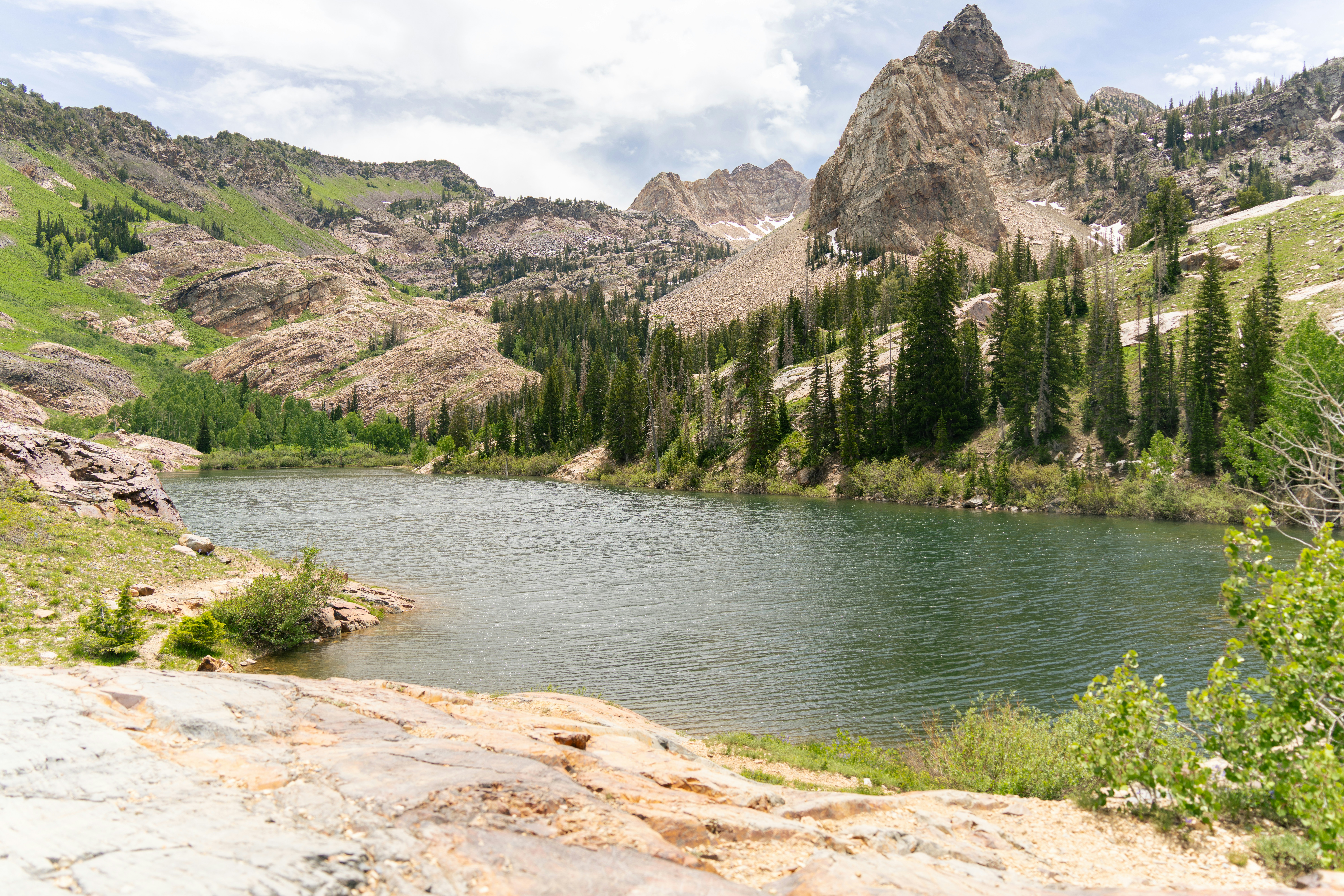 Photo by alexmoliski