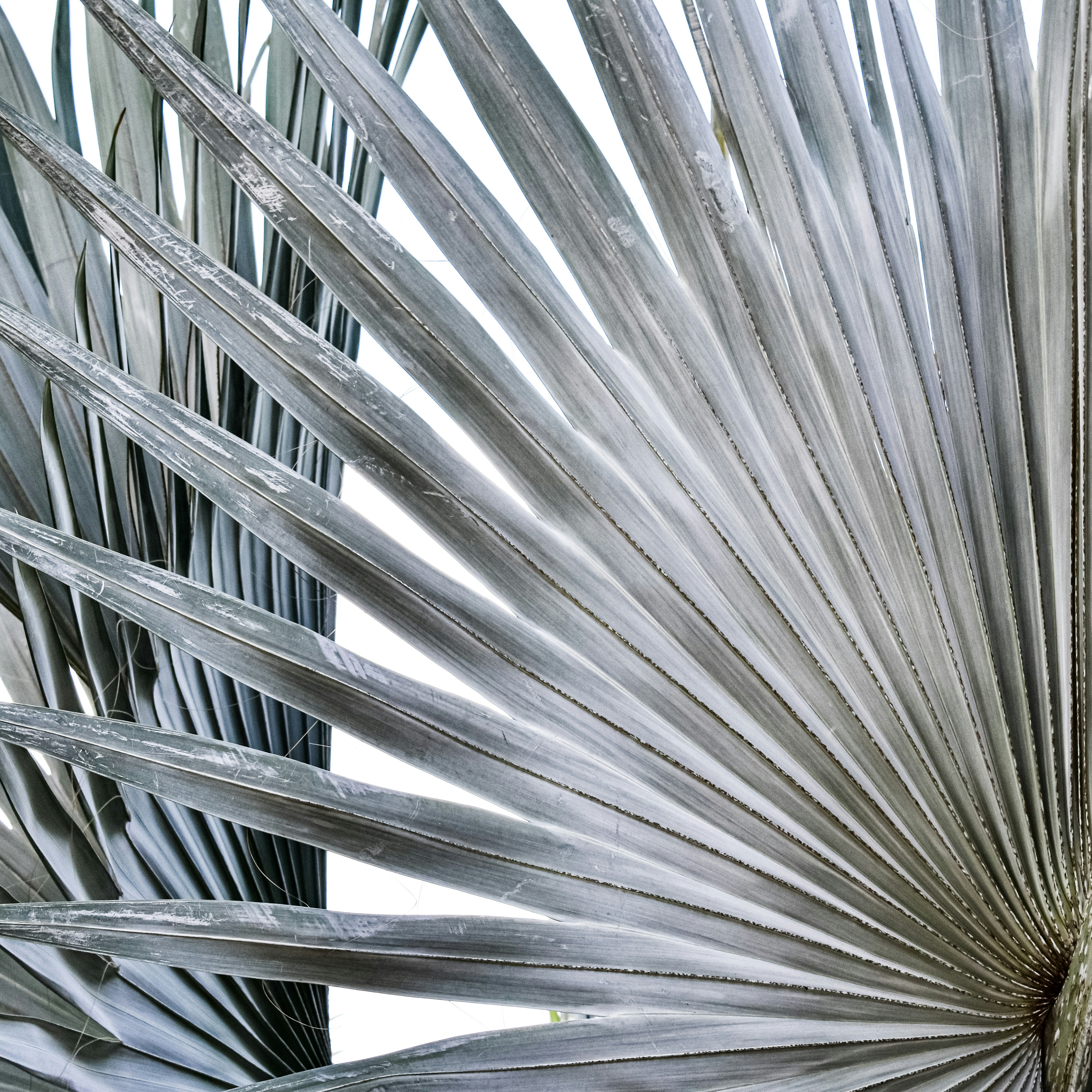 Photo by sschusterphotoart