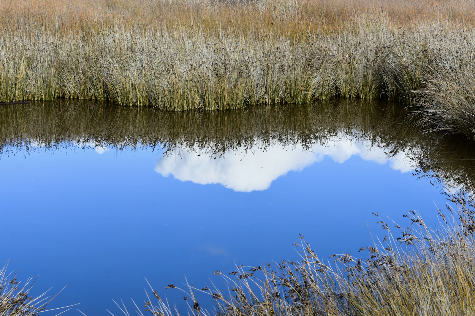 Calm water reflecting the sky, representing how a duplicate URL mirrors the content of its canonical version