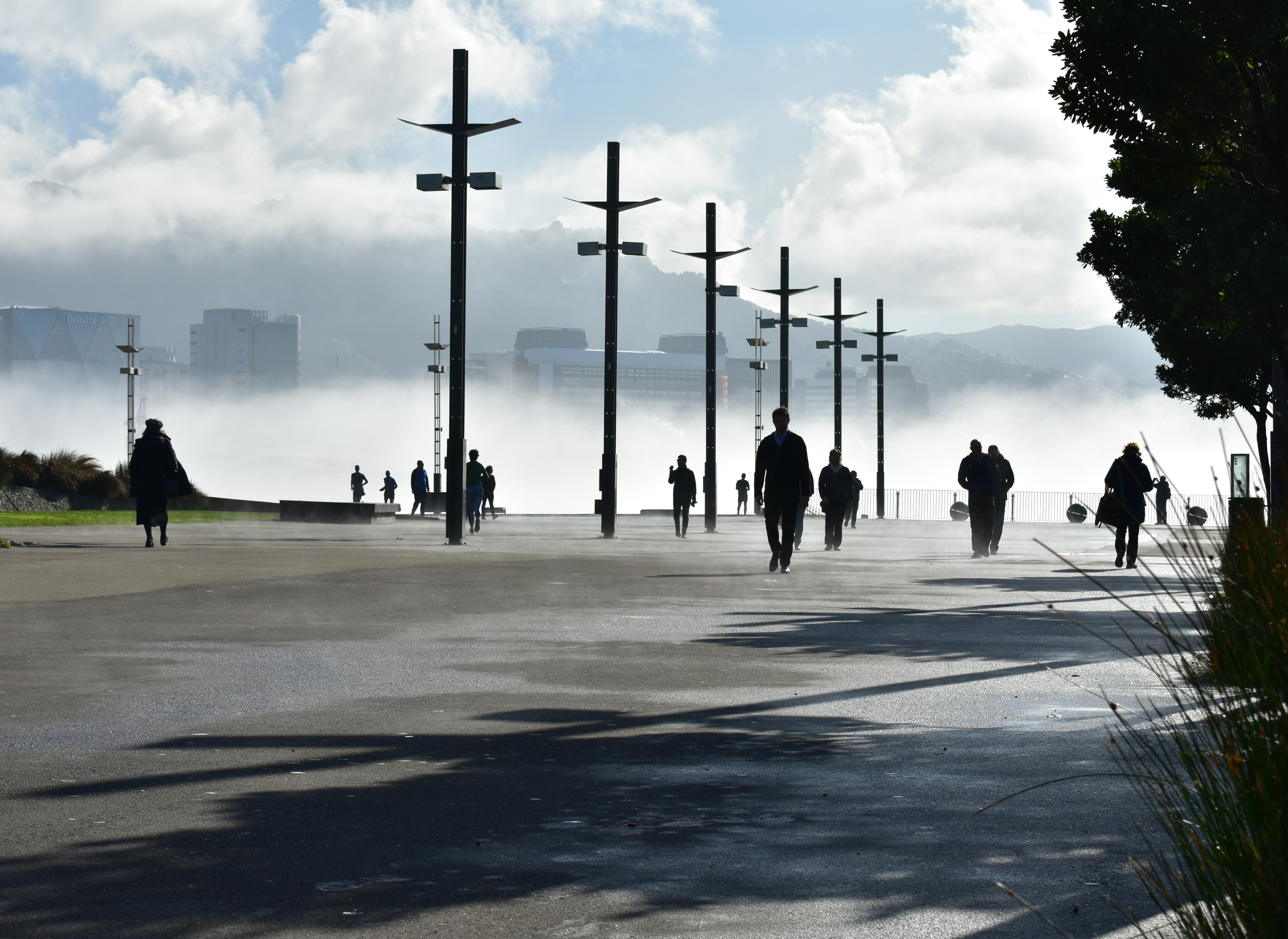 Wellington is in a Social Recession. Here’s a 5-Point Plan to Fix It