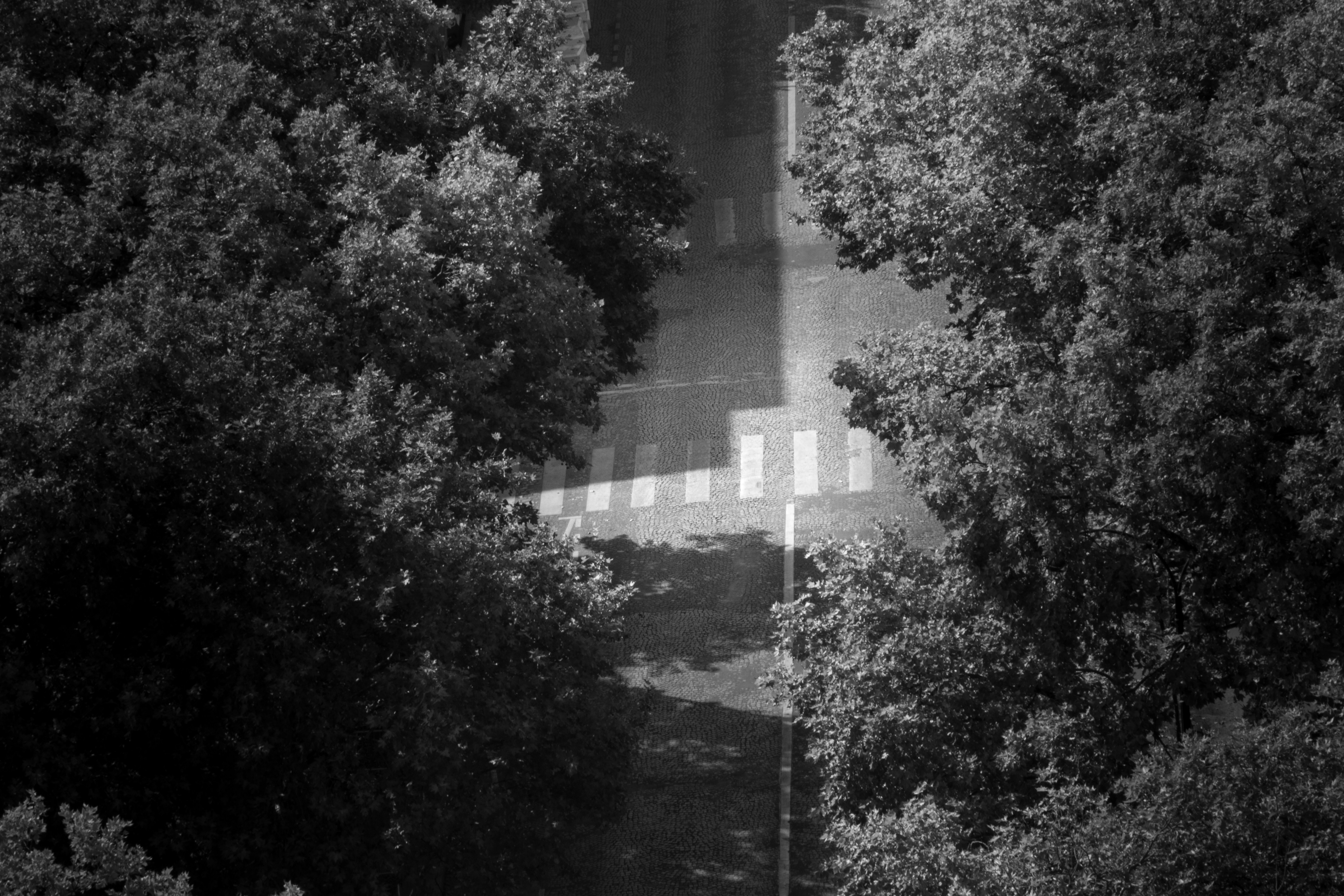 Photo by theresiahent