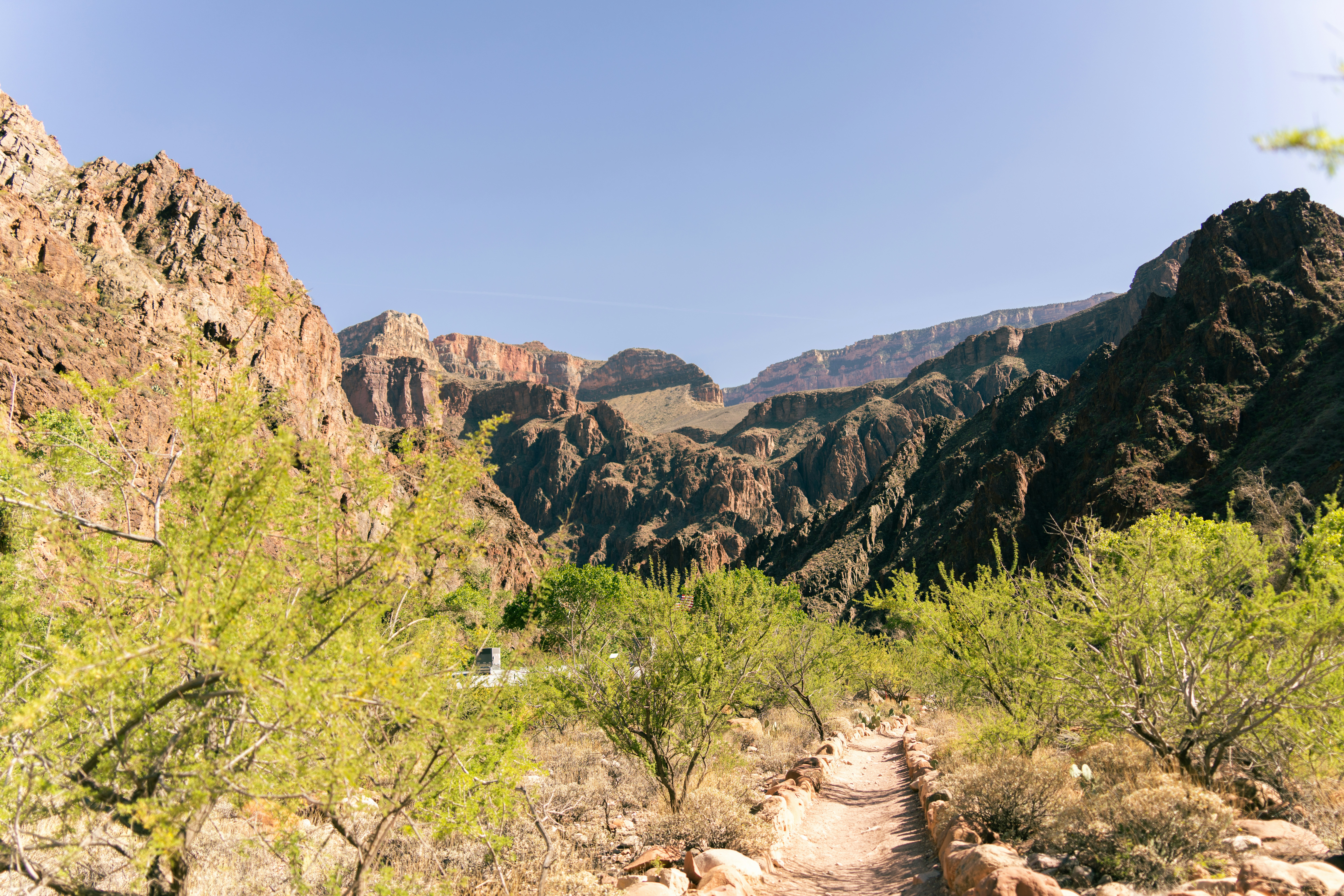 Photo by alexmoliski