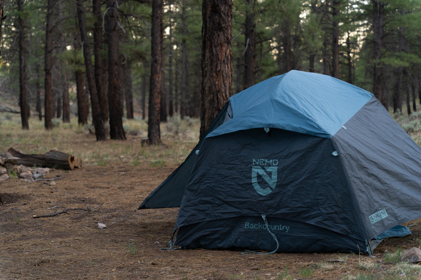 A blue camping tent set up in a quiet pine forest