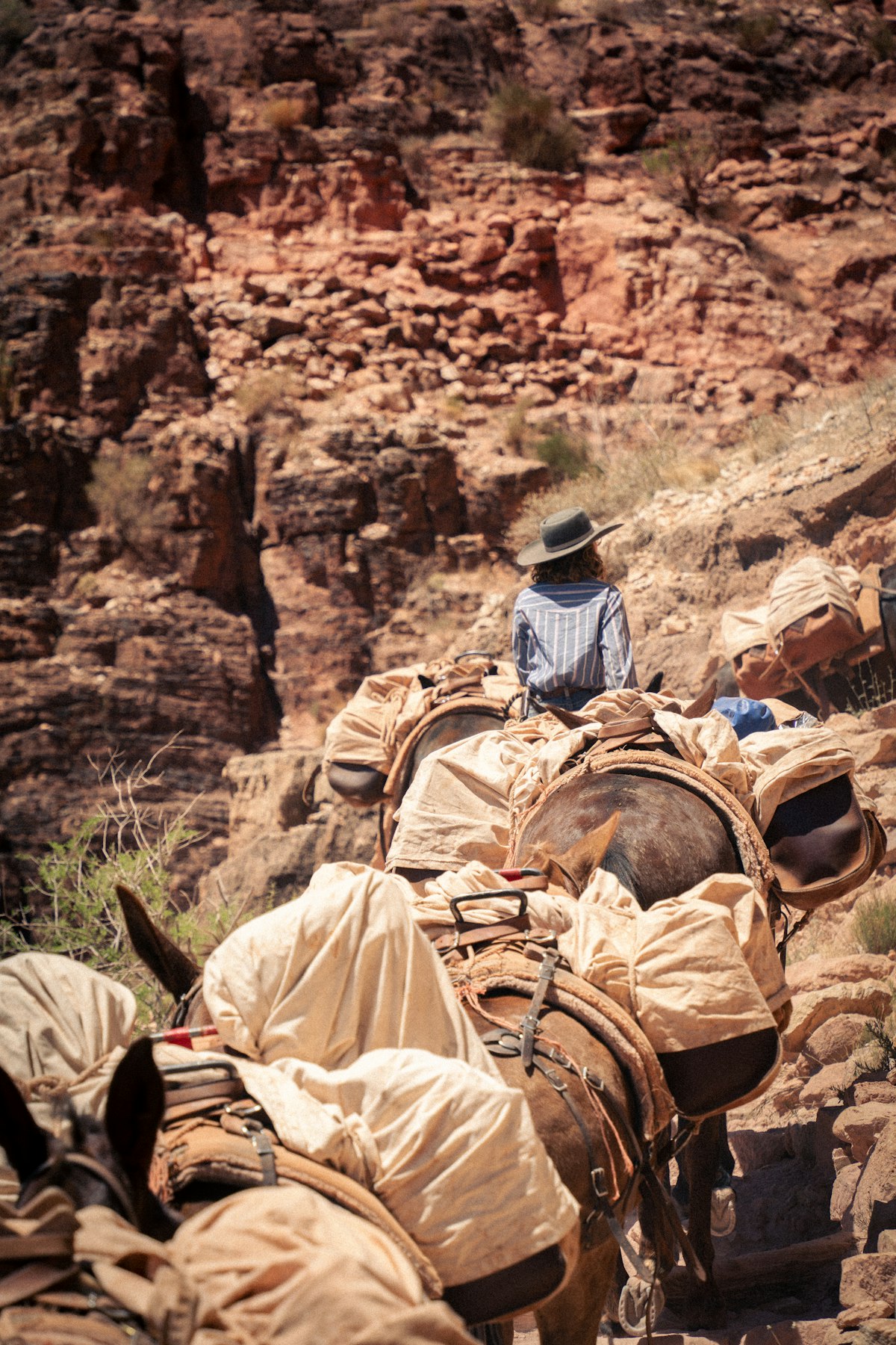 Horseback riders on desert trail with mountain views in background