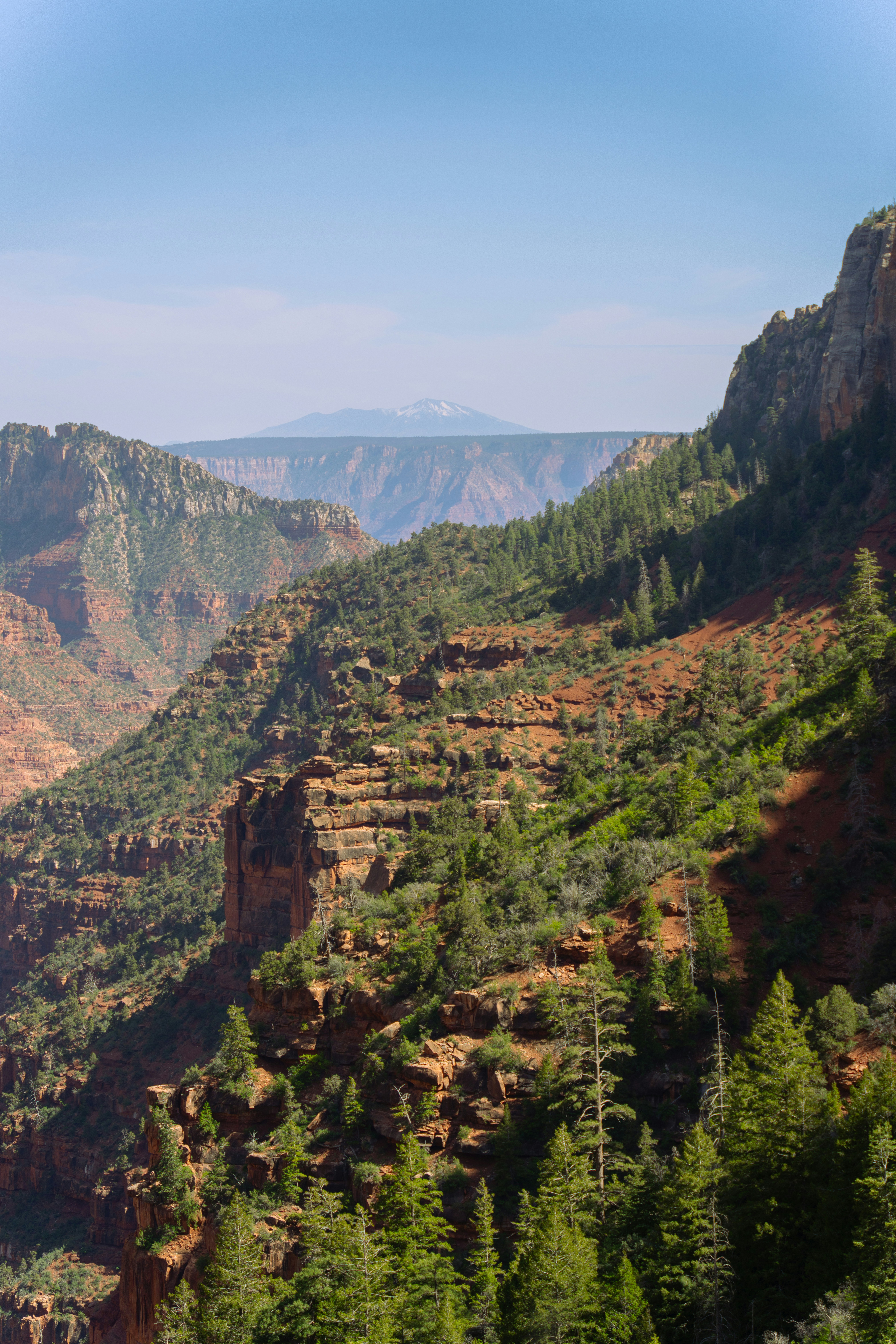 Photo by alexmoliski