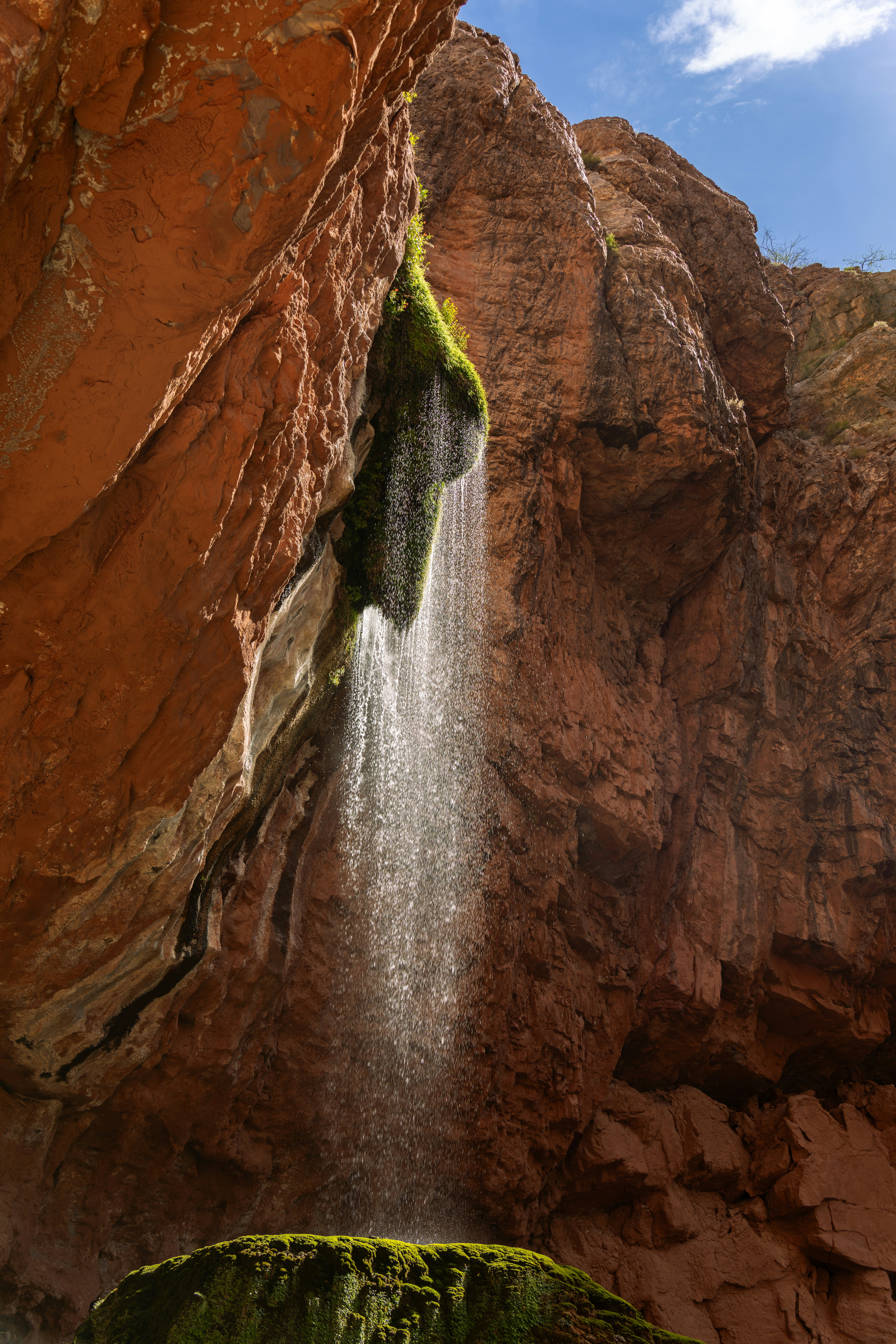 Photo by alexmoliski