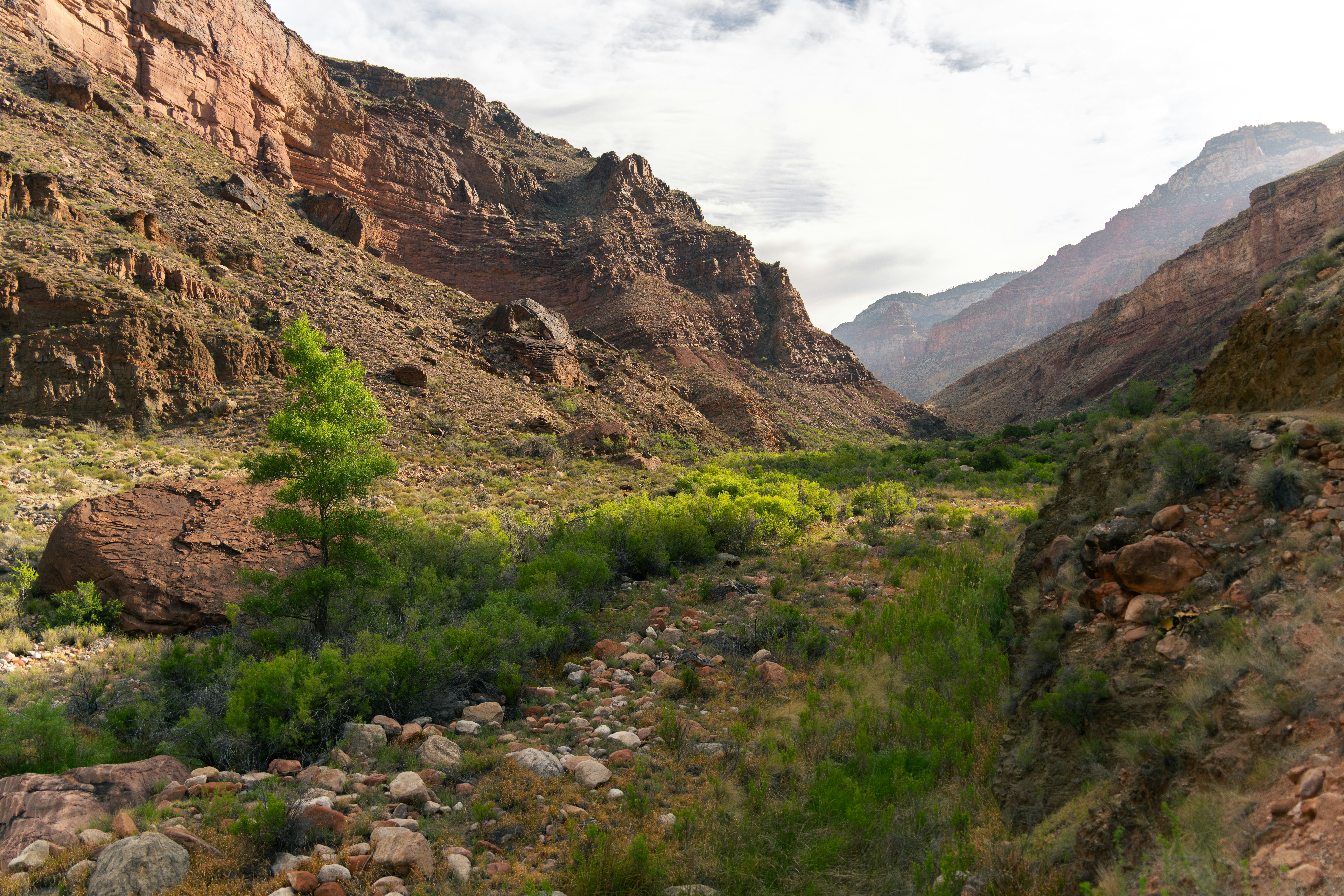 Photo by alexmoliski