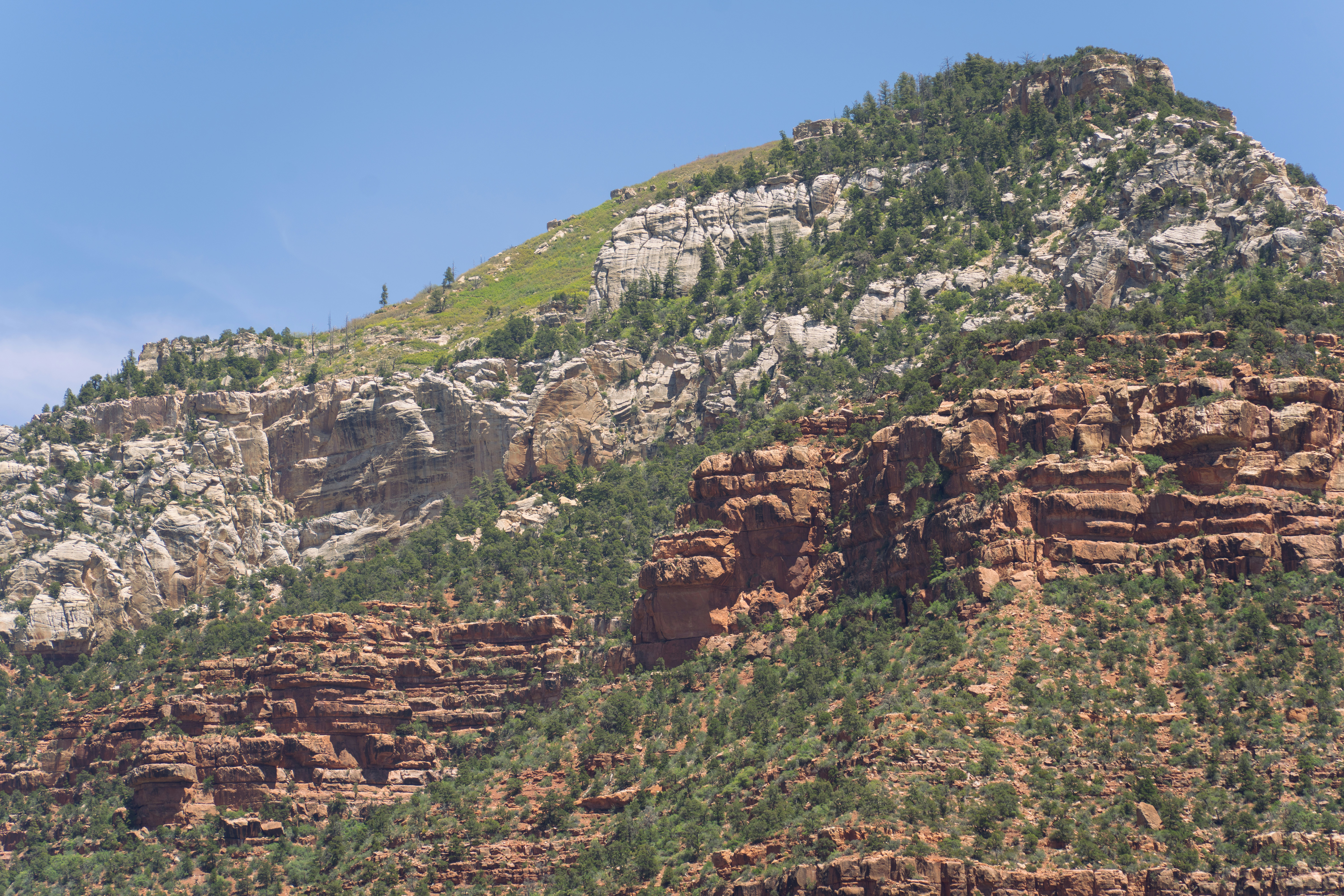 Photo by alexmoliski