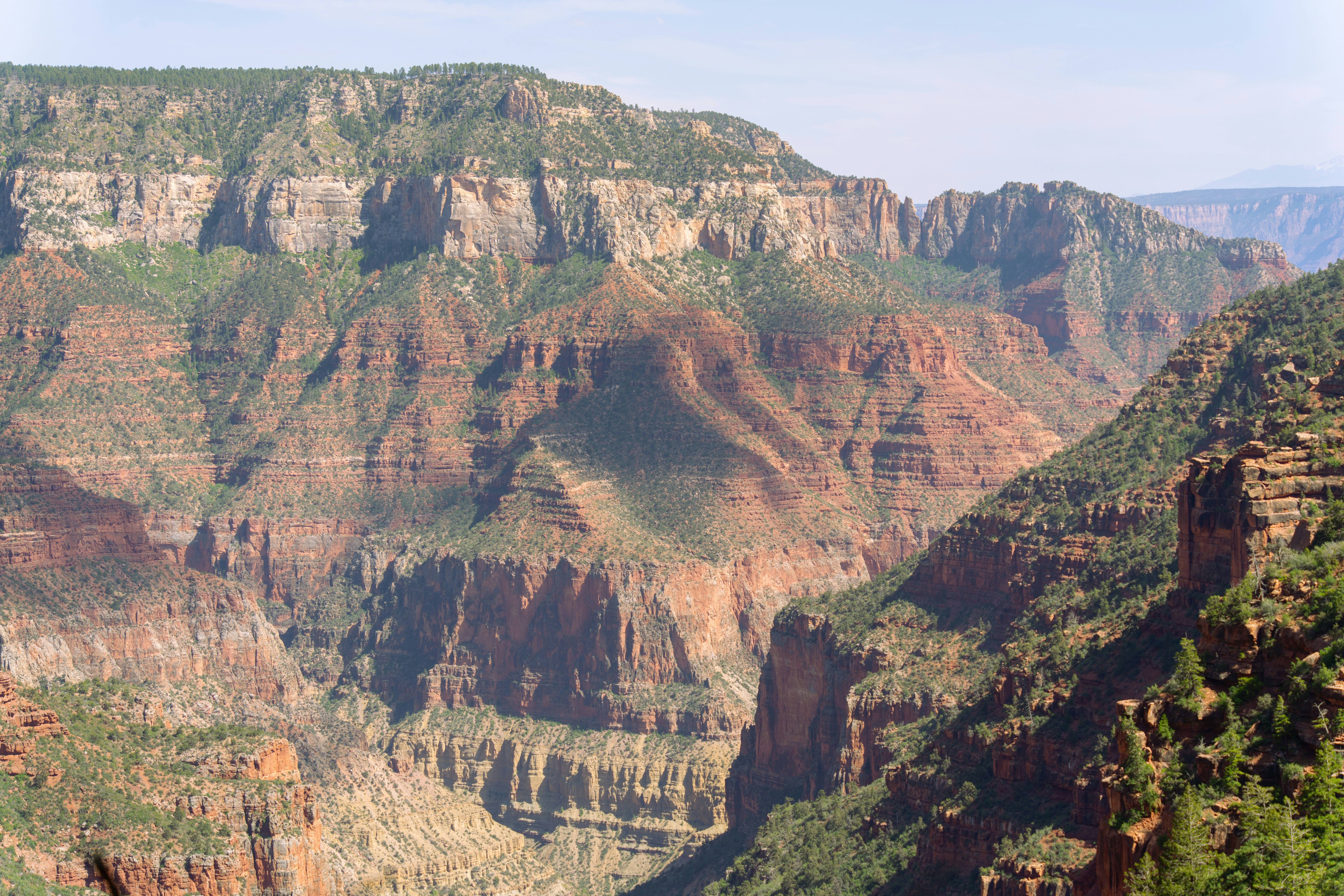 Photo by alexmoliski