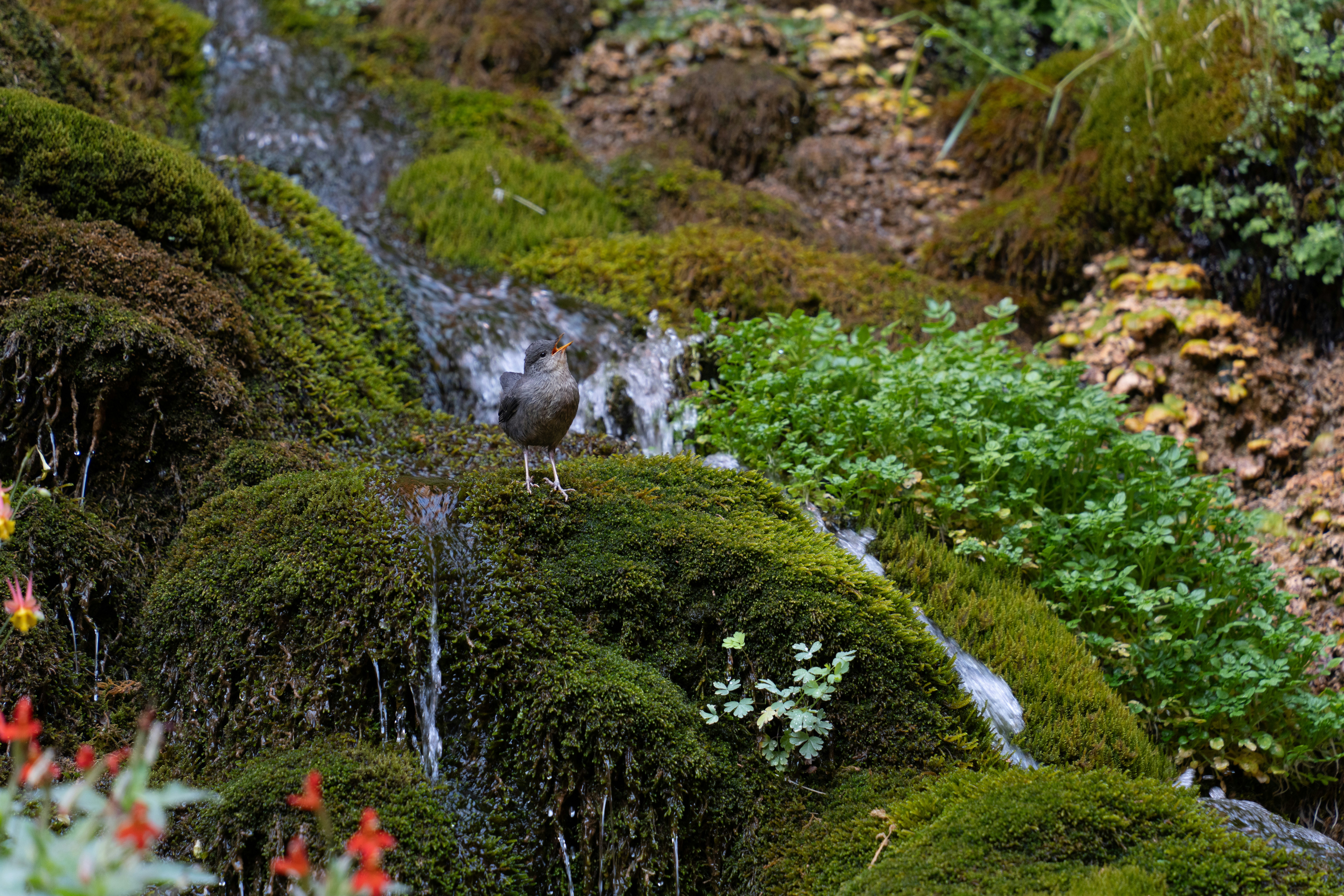 Photo by alexmoliski