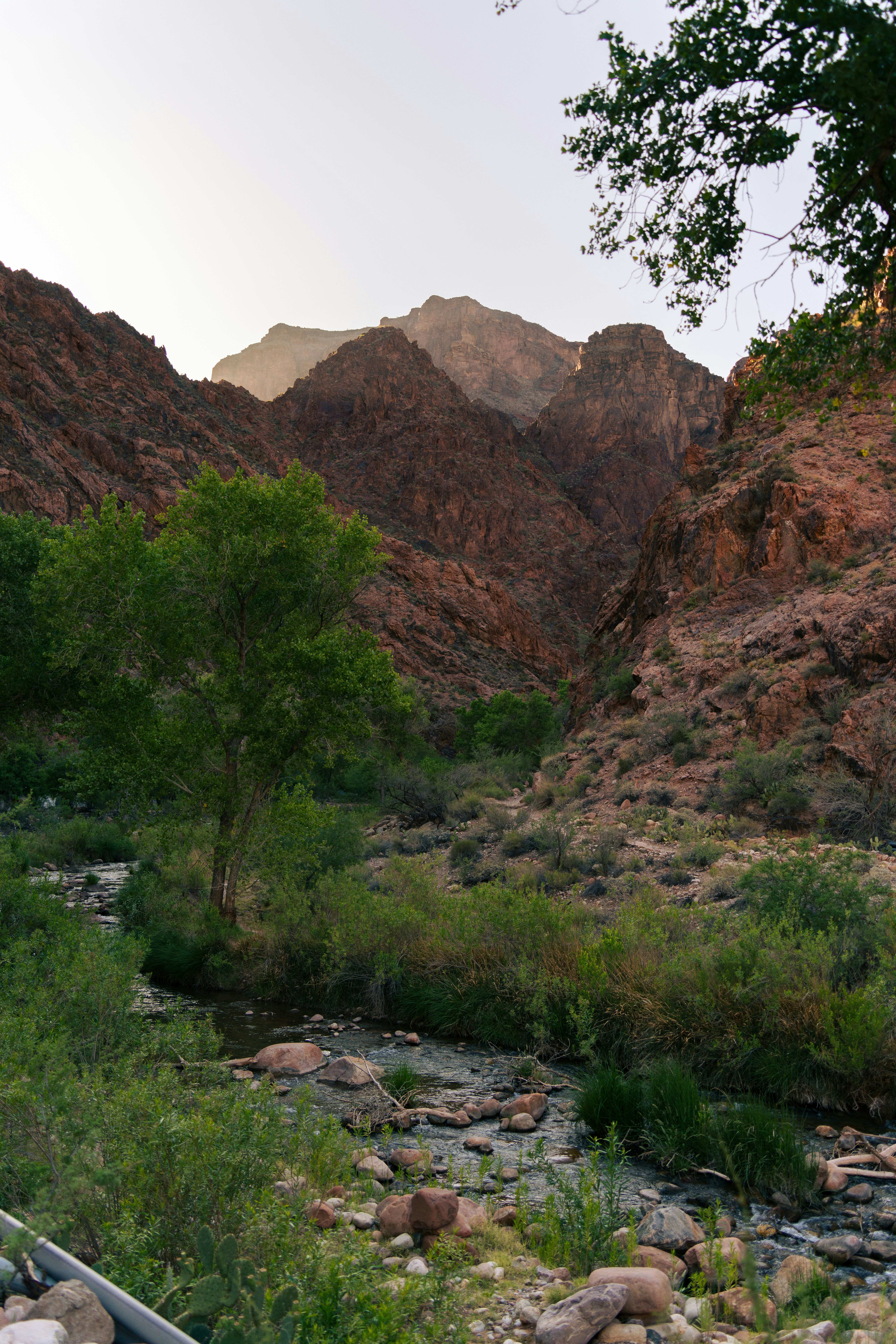 Photo by alexmoliski