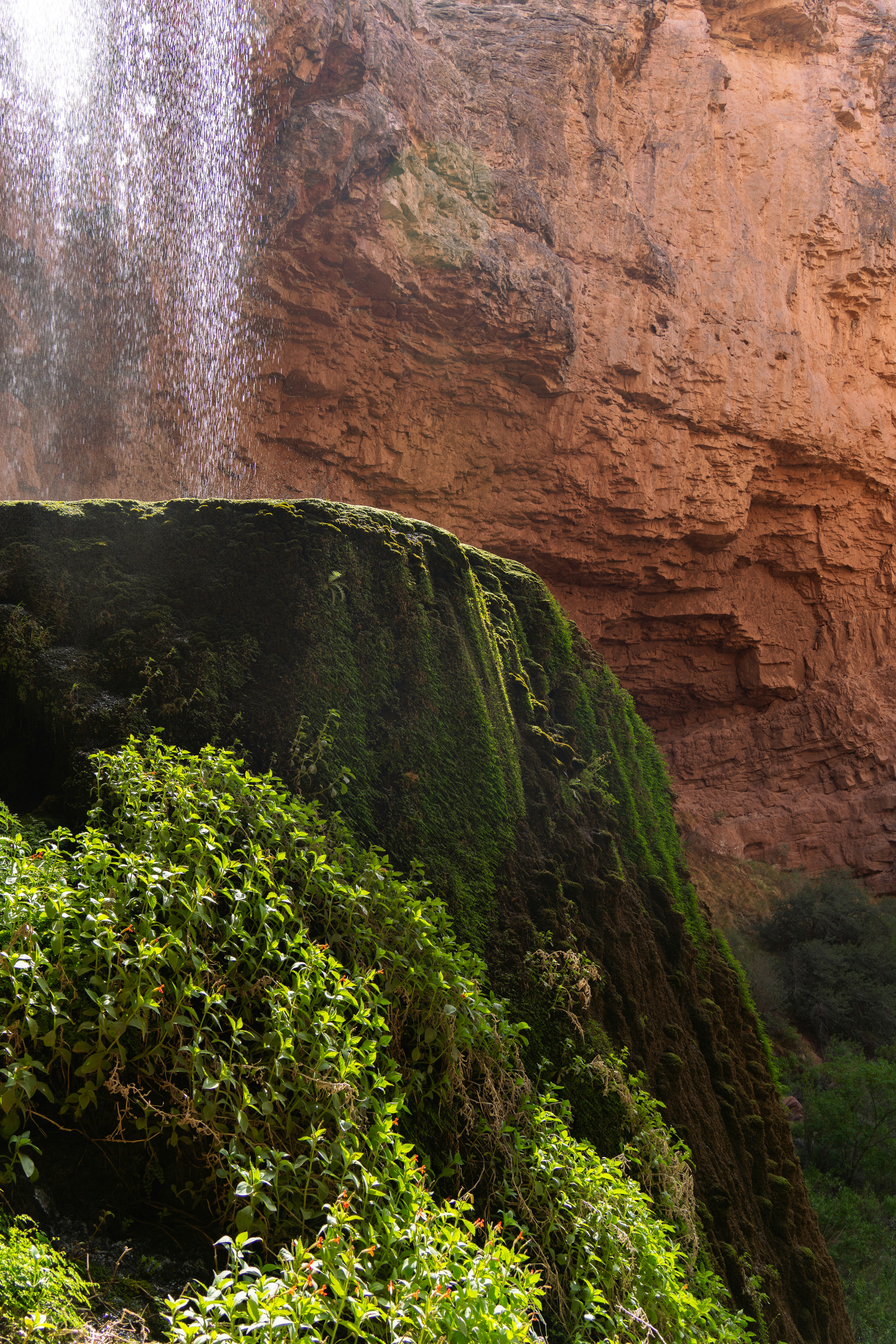 Photo by alexmoliski