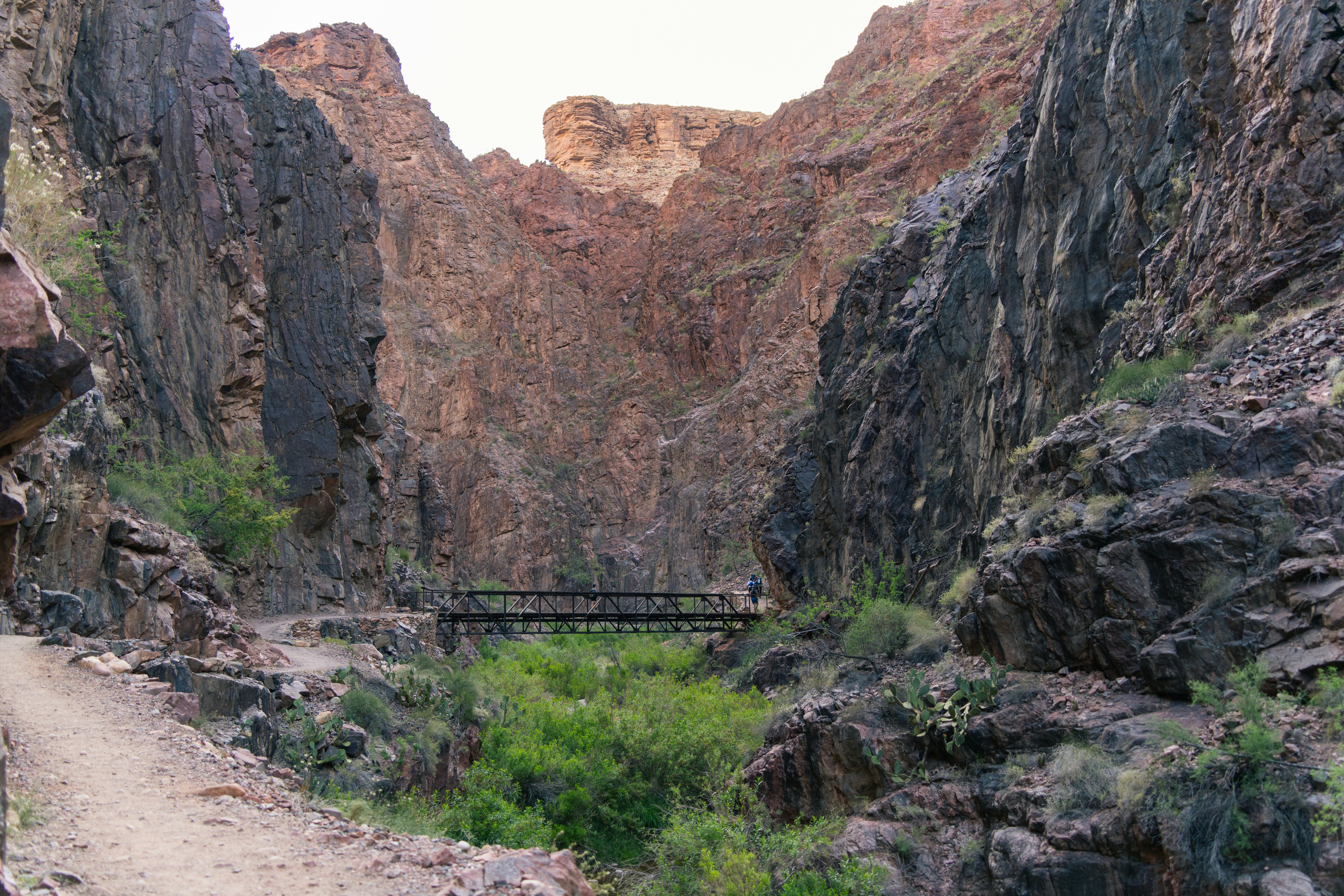 Photo by alexmoliski