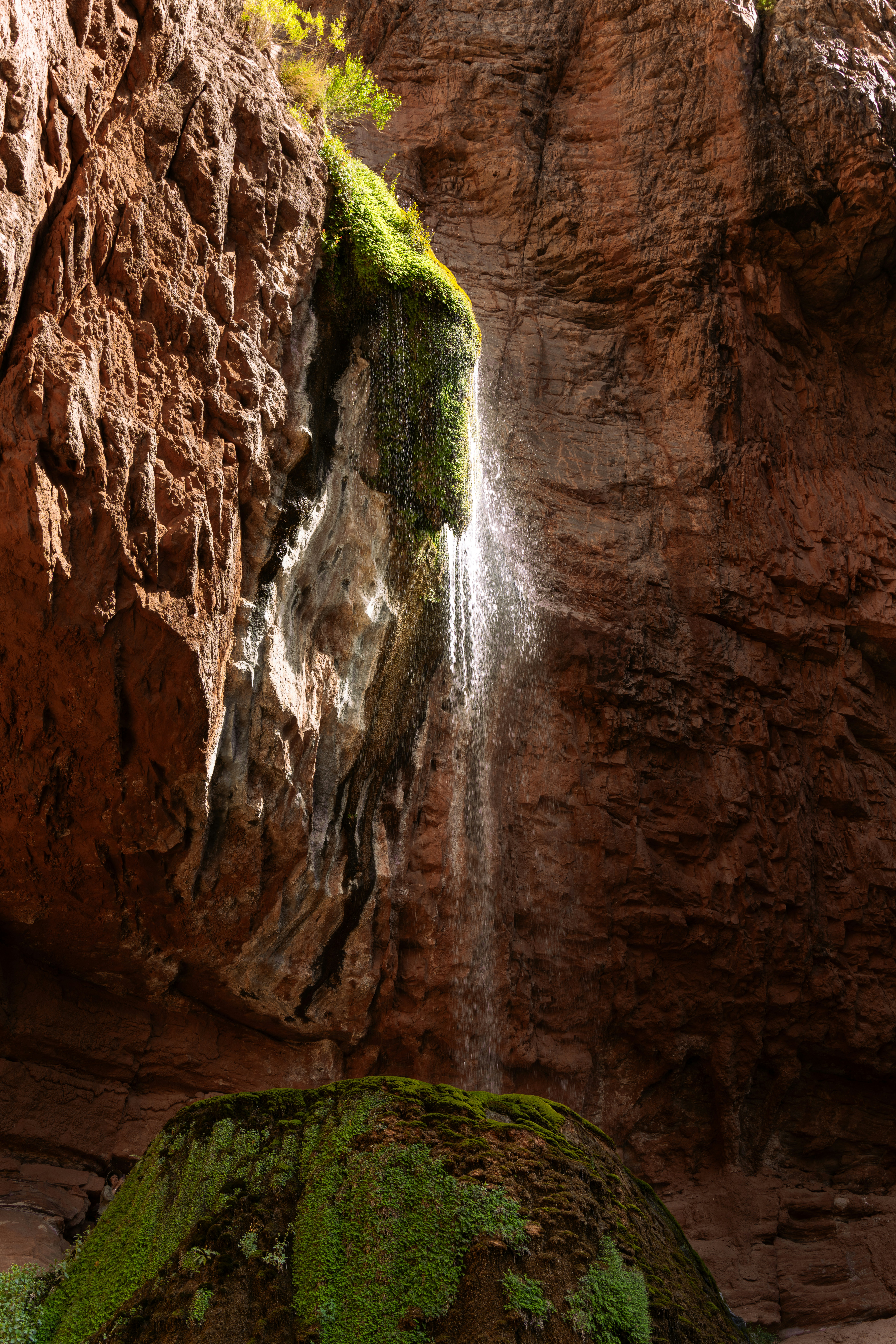 Photo by alexmoliski