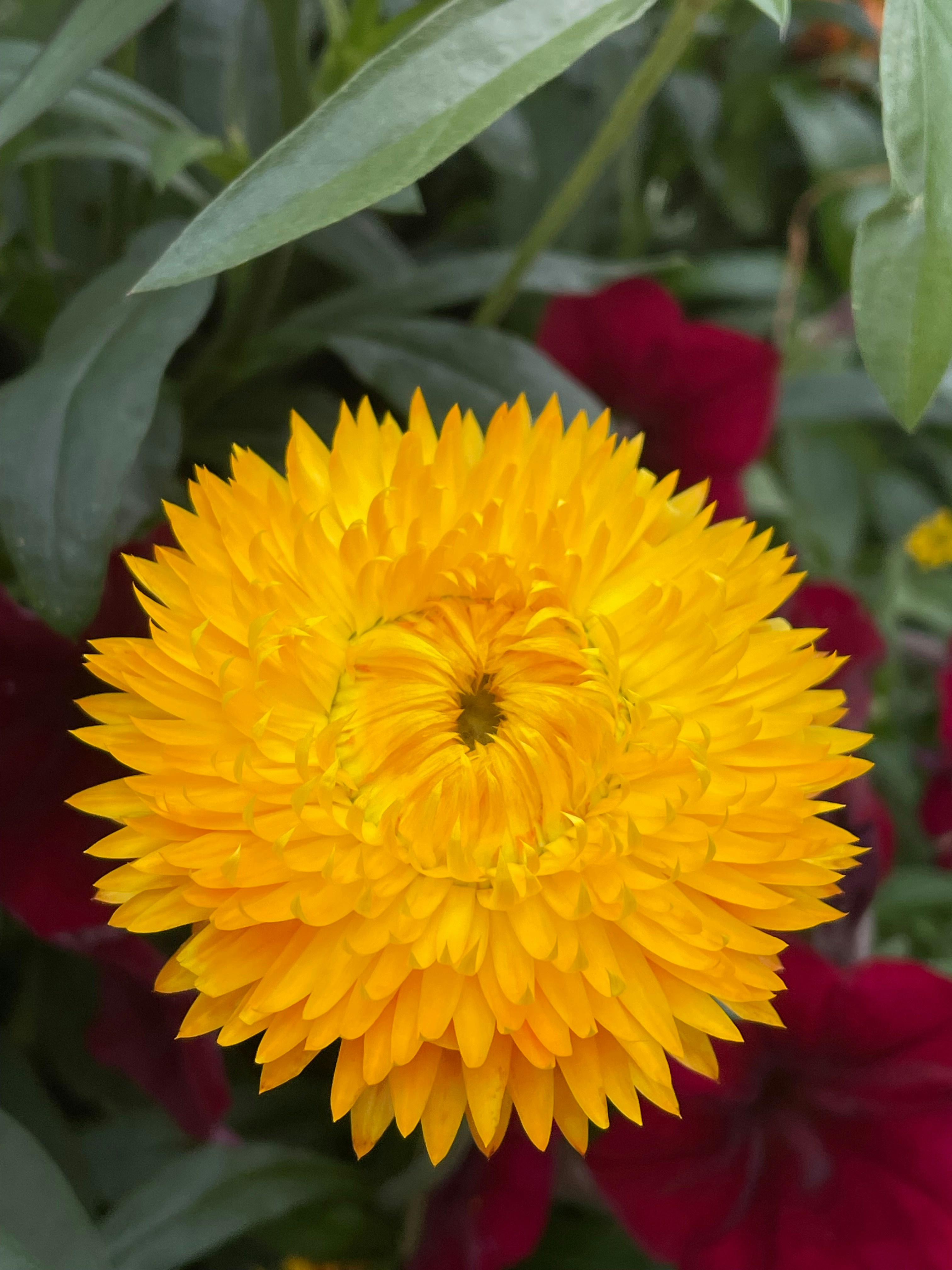 Photo by photodeonyx