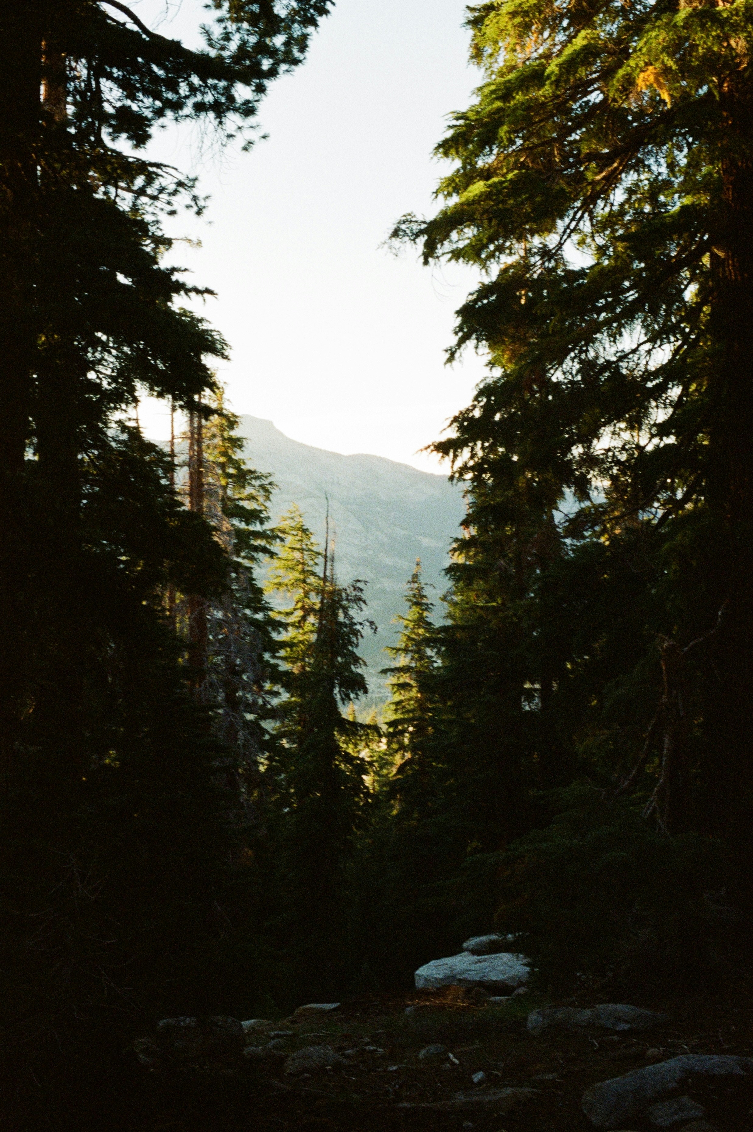 Photo by theguccer2100