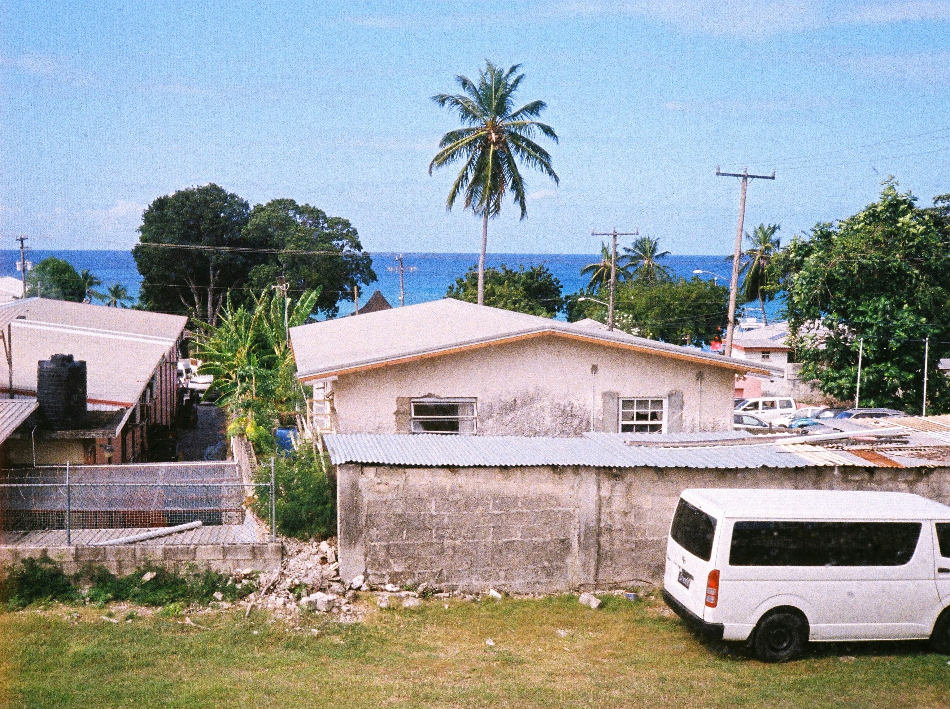 Tropical coastal village with palm trees and ocean