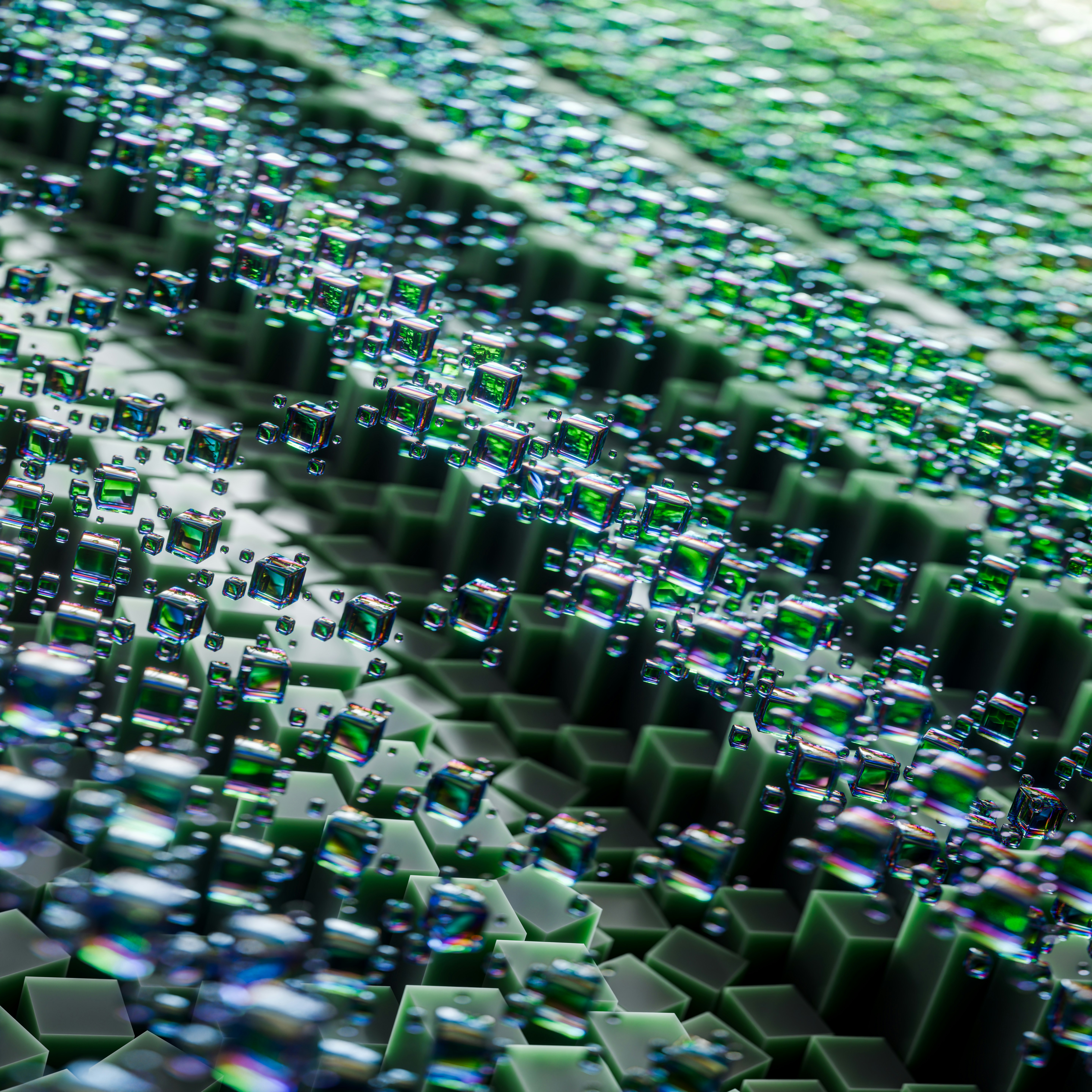 Photo by mehrab_sium