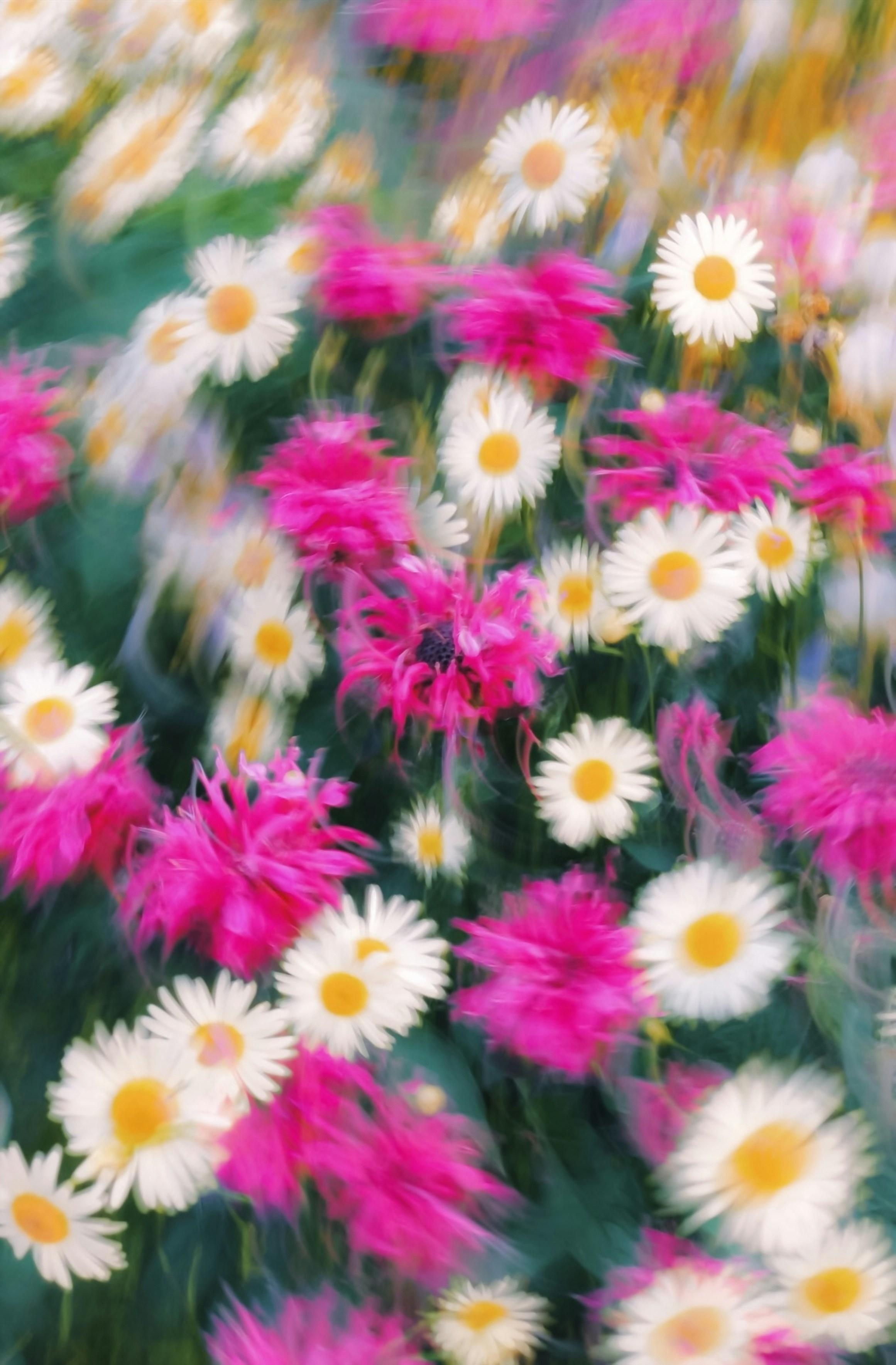 Photo by eugene_golovesov