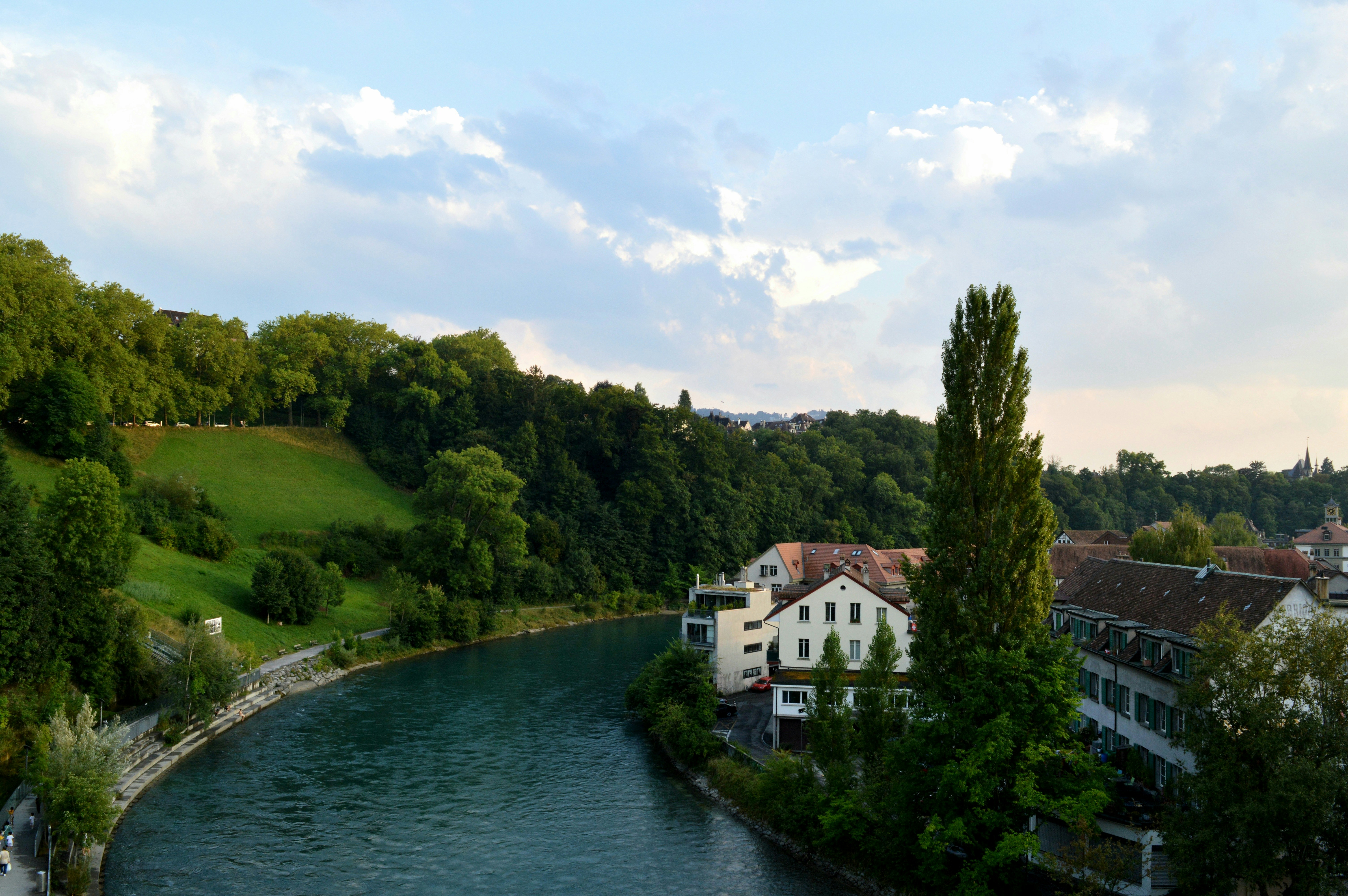 River flows through a green city with buildings and trees.