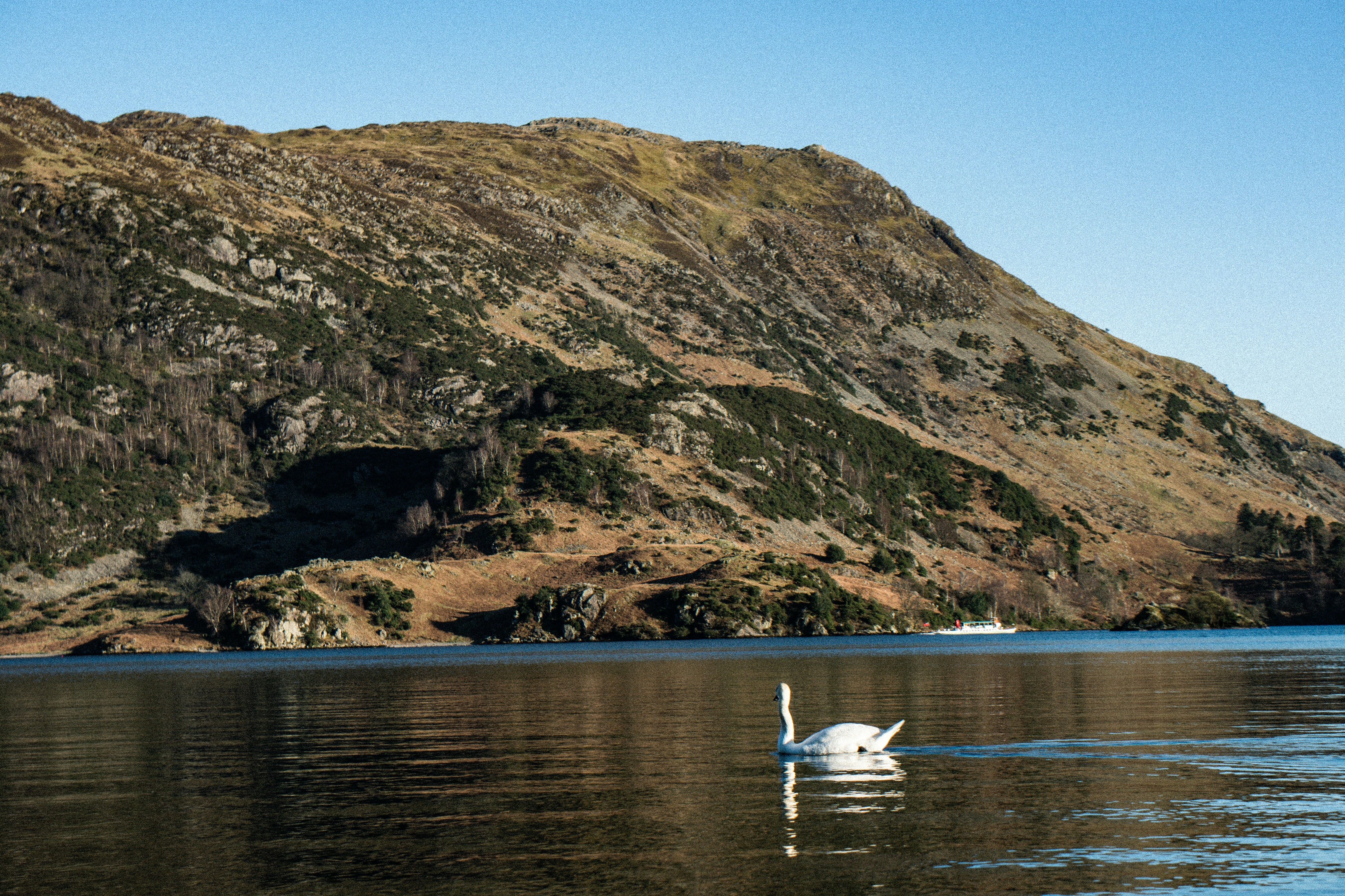 Photo by julia_fiander