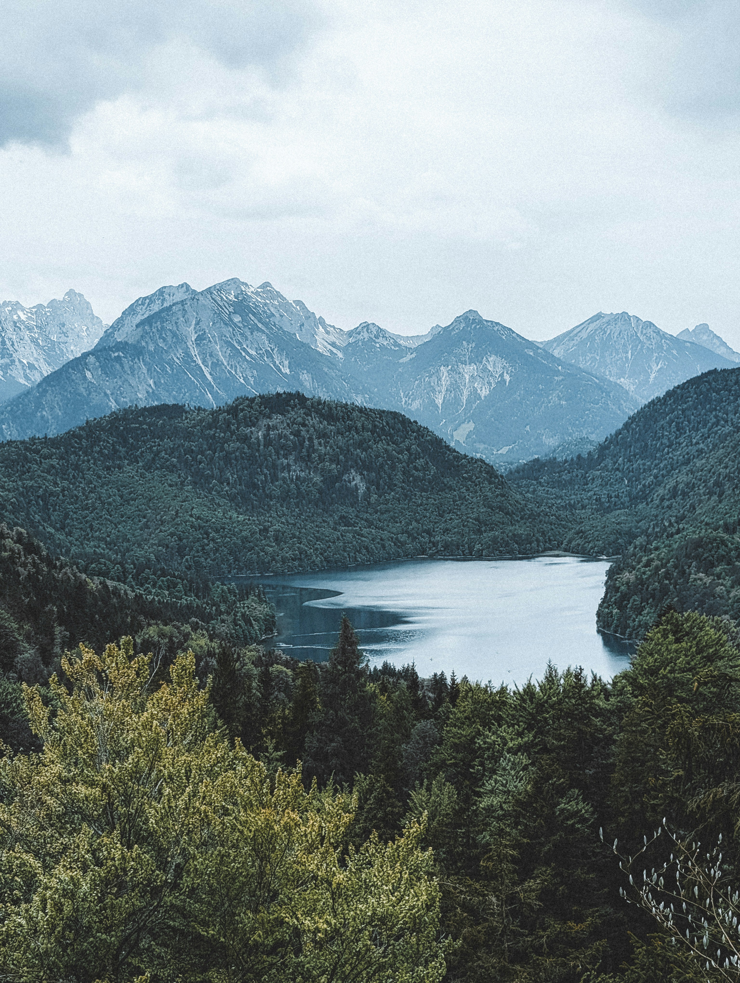 Photo by alexeykuleshov