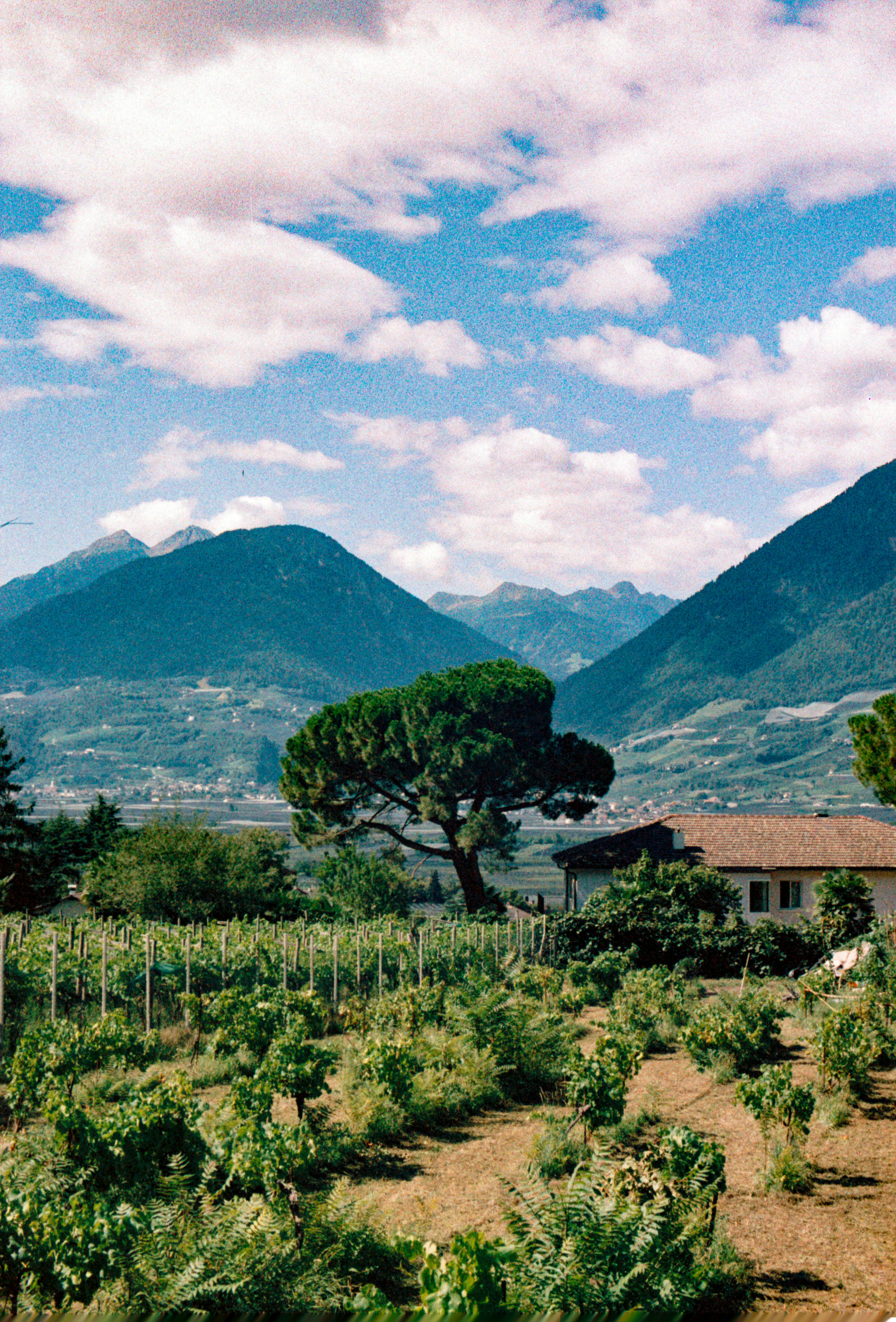 Photo by chrisvomradio