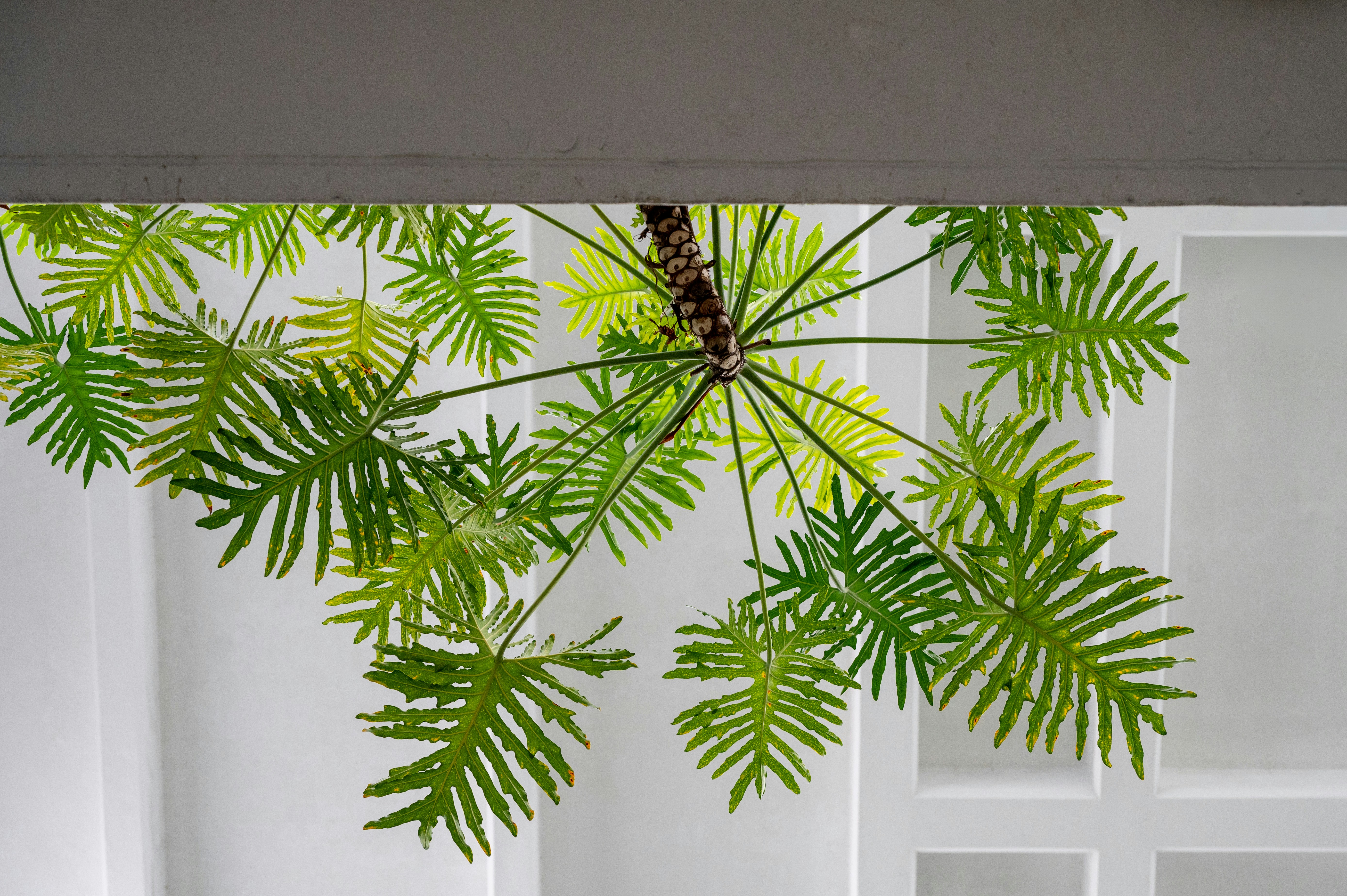 Photo by turquocabbit